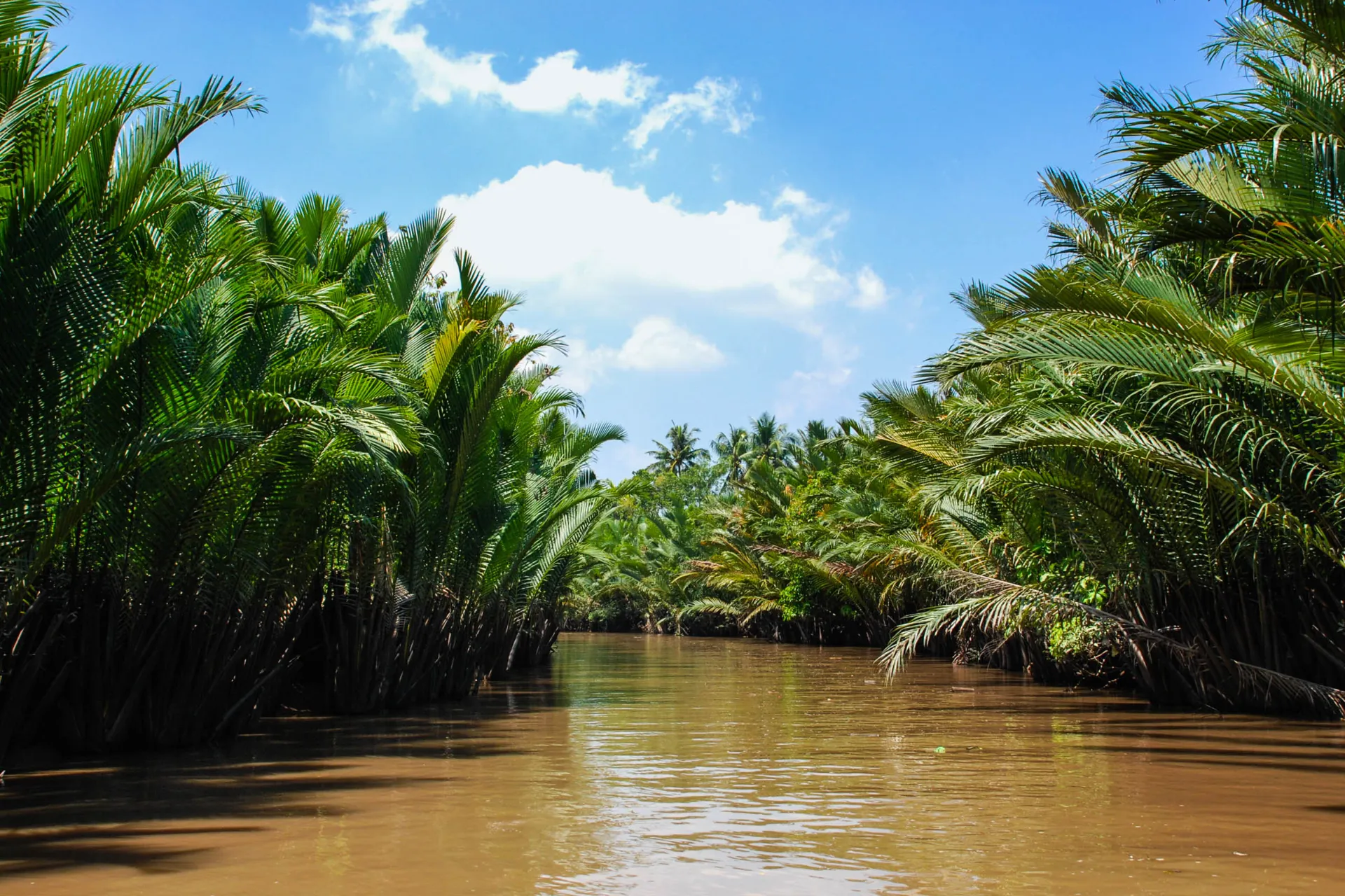 Krajobraz rzeczny w delcie Mekongu Krajobraz rzeczny w delcie Mekongu