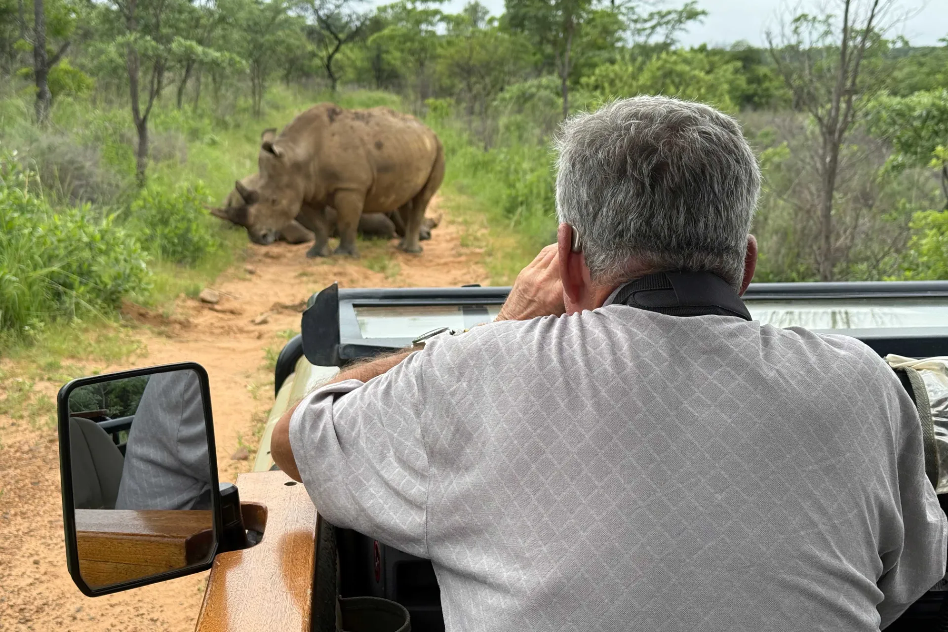 Nosorożec na drodze