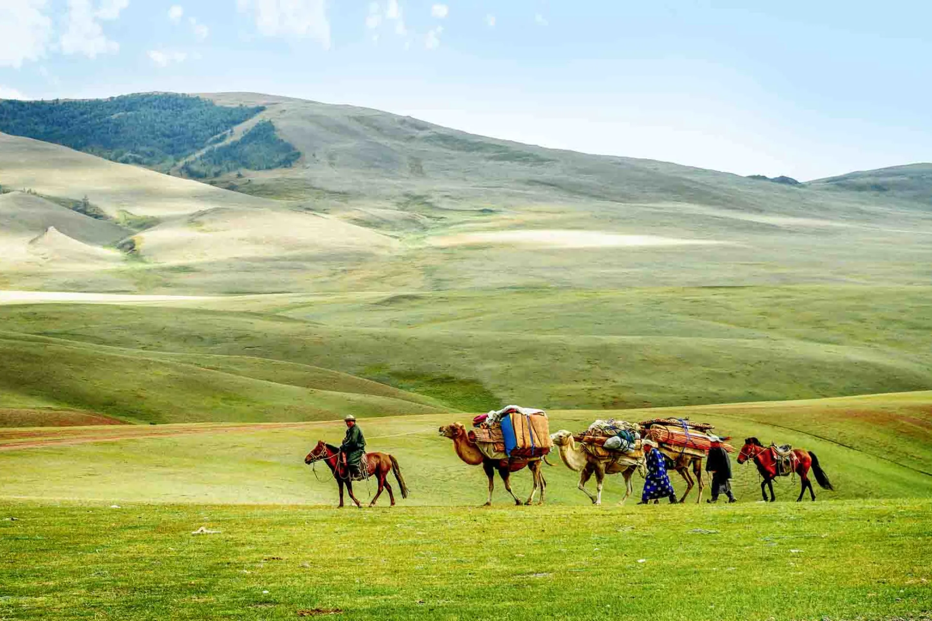 Karawana wielbłądów na stepie mongolskim