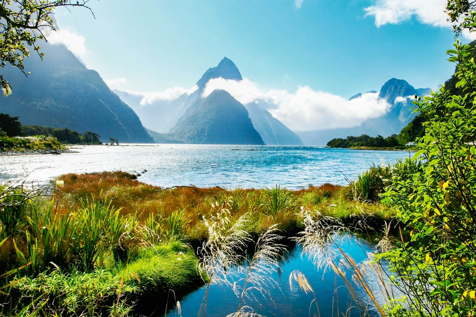 Milford Sound w Fiordland National Park z Mitre Peak w tle Milford Sound w Fiordland National Park z Mitre Peak w tle
