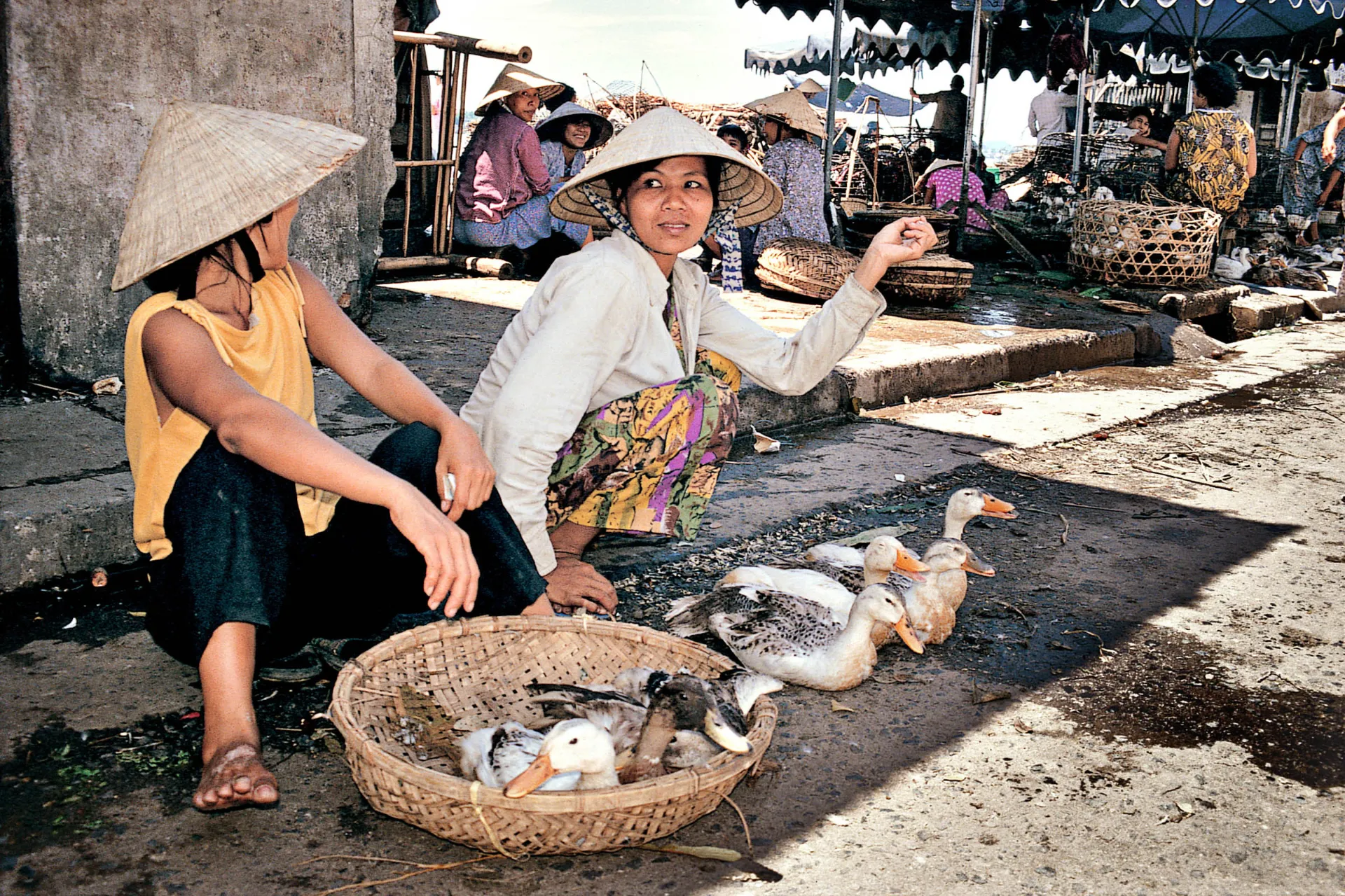 Kaczki na sprzedaż na targu Kaczki na sprzedaż na targu