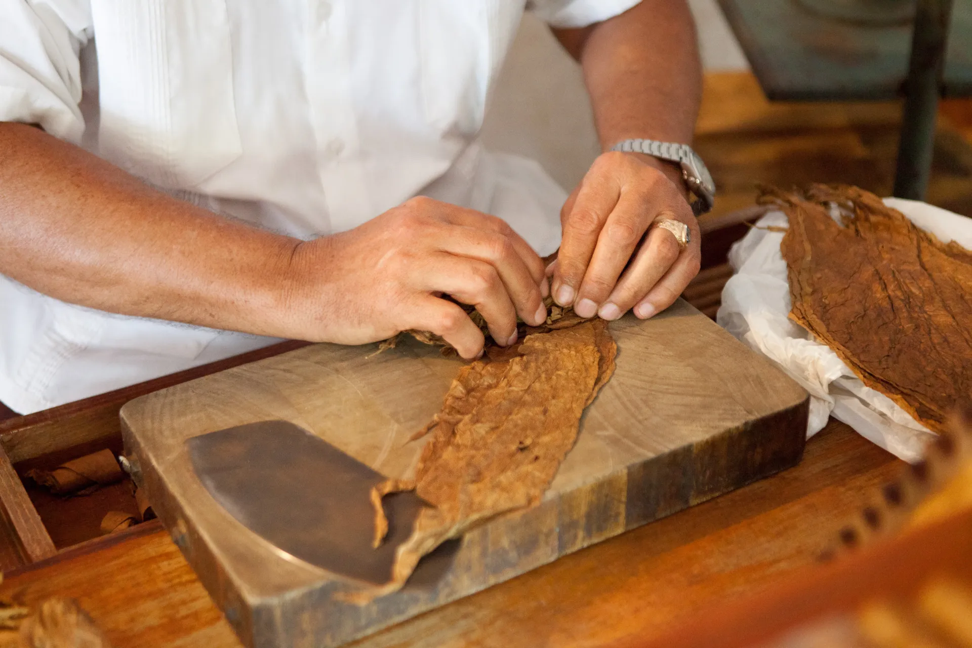 Z powodu koronawirusa i burz produkcja cygar spadła z 250 mln do 45 mln rocznie Z powodu koronawirusa i burz produkcja cygar spadła z 250 mln do 45 mln rocznie