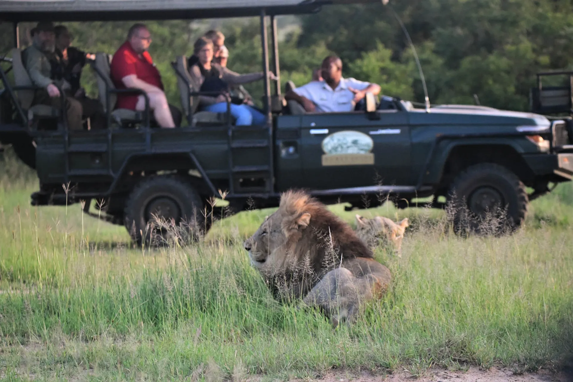 Zwierzęta postrzegają jeepa z ludźmi jako jedno stworzenie Zwierzęta postrzegają jeepa z ludźmi jako jedno stworzenie