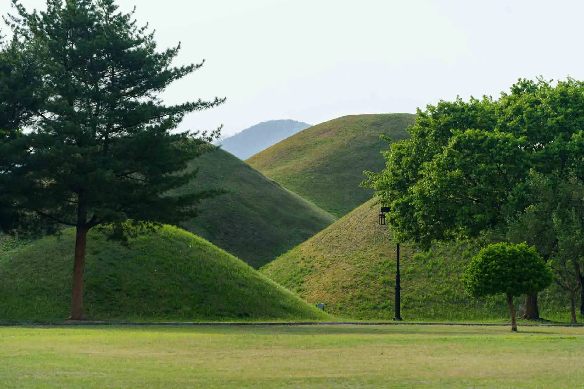Imponujące porośnięte trawą kopce grobowe w kompleksie Daereungwon w Gyeongju
