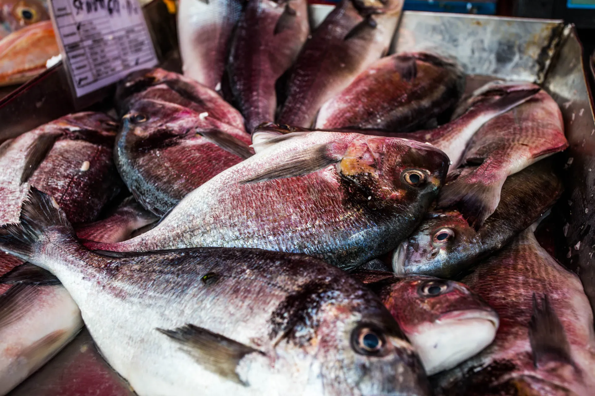 Świeżo złowiona ryba w porcie Marsaxlokk Świeżo złowiona ryba w porcie Marsaxlokk