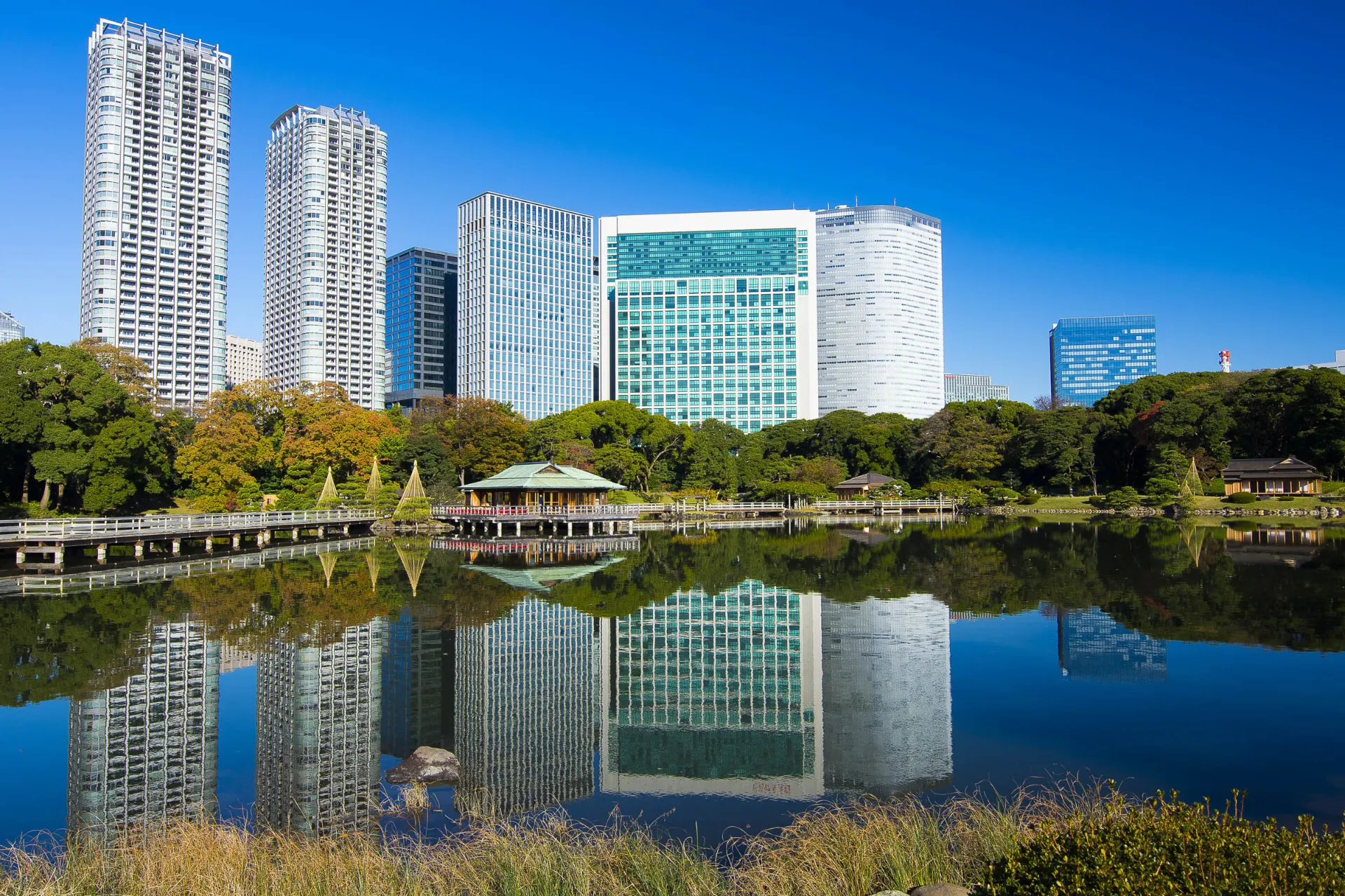 Wielki ogród Hamarikyu w centrum Tokio Wielki ogród Hamarikyu w centrum Tokio