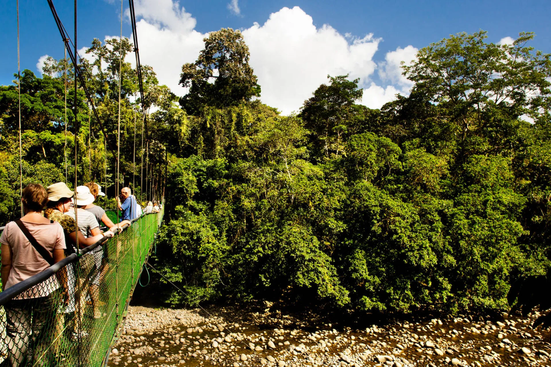Wiszący most z widokiem na las deszczowy w Parku Narodowym Arenal, Kostaryka Wiszący most z widokiem na las deszczowy w Parku Narodowym Arenal, Kostaryka