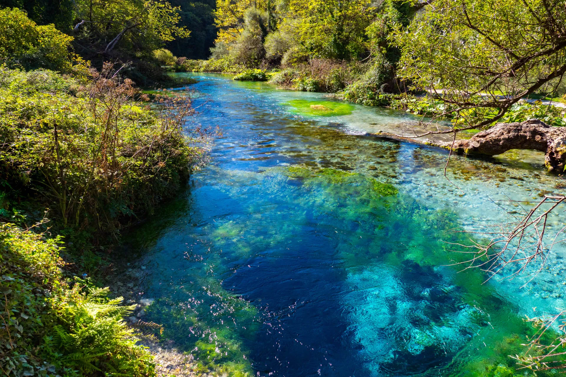 Syri i Kaltër (Błękitne Oko), Albania – malownicze źródło z krystalicznie czystą, turkusową wodą Syri i Kaltër (Błękitne Oko), Albania – malownicze źródło z krystalicznie czystą, turkusową wodą