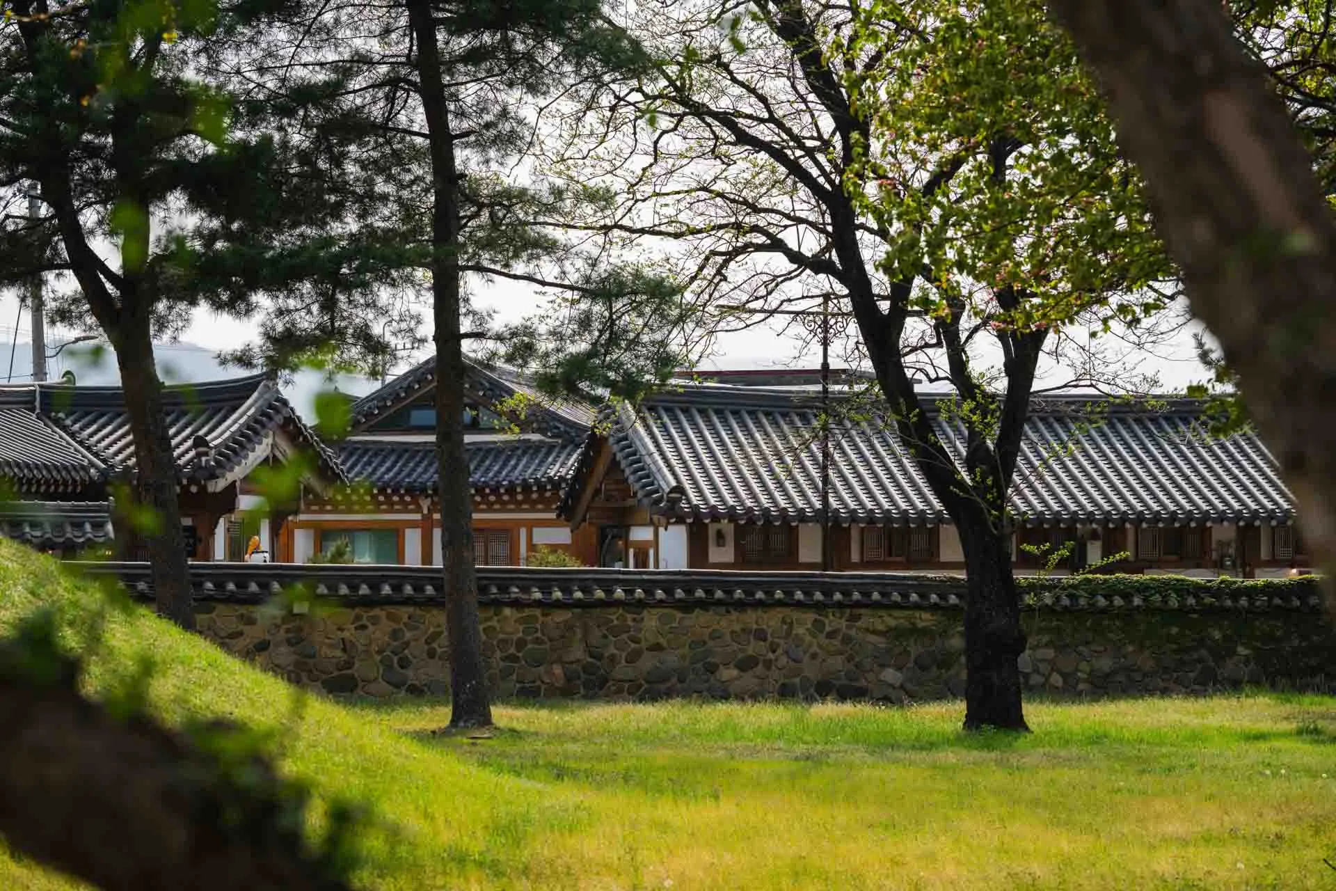Kompleks grobowców Daereungwon w Gyeongju