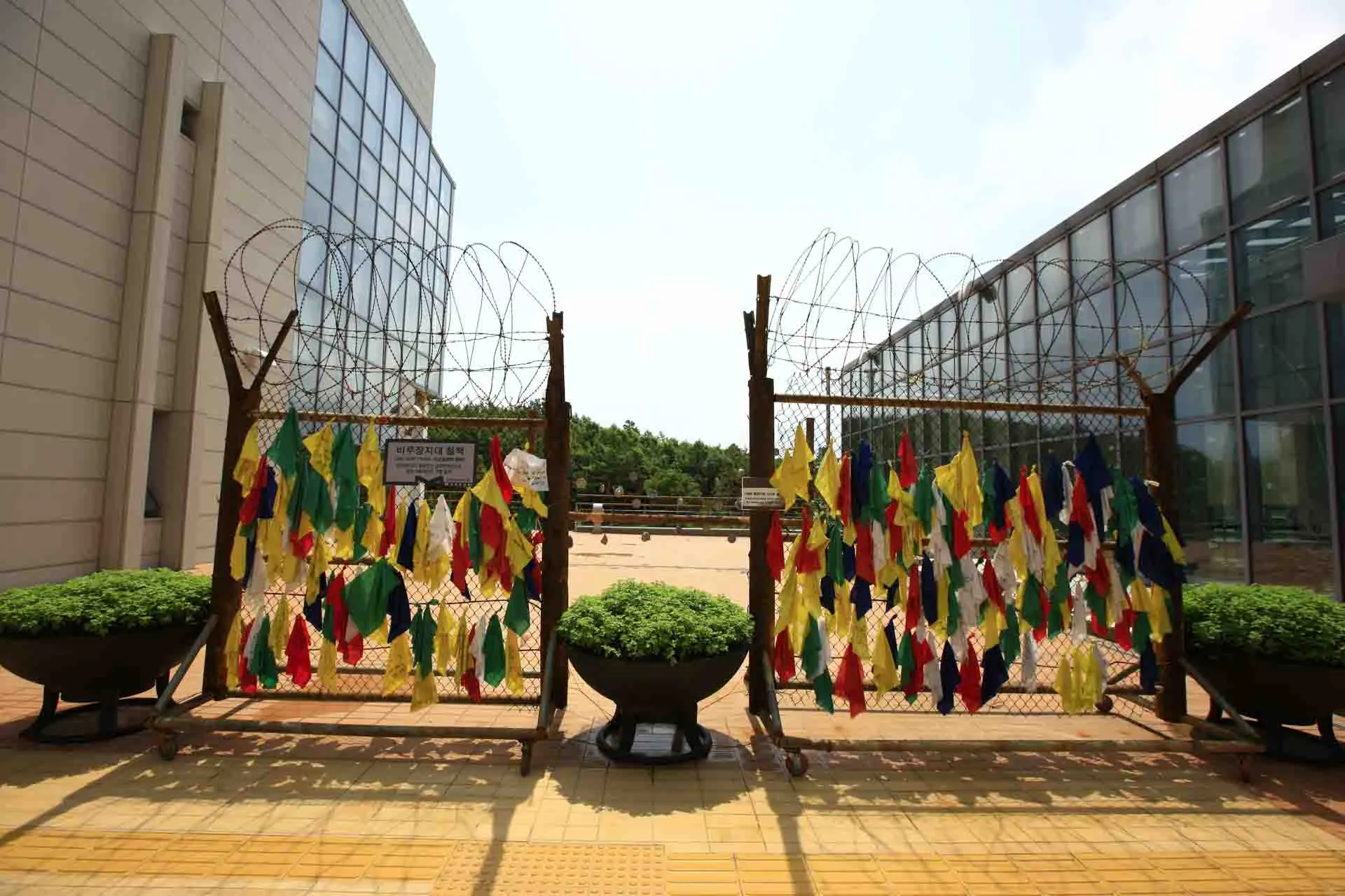 DMZ – kolorowe wstążki zawieszone na ogrodzeniu symbolizują życzenia pokoju i ponownego zjednoczenia między Koreą Północną a Południową