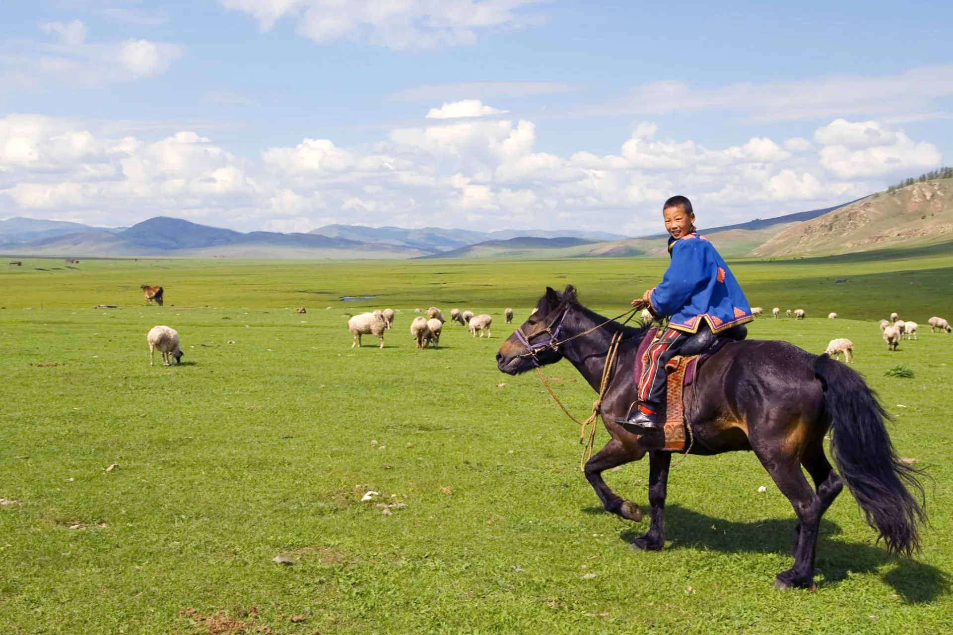 Koń odgrywa centralną rolę w kulturze mongolskiej – Mongolia jest często nazywana „krajem wielu koni” Koń odgrywa centralną rolę w kulturze mongolskiej – Mongolia jest często nazywana „krajem wielu koni”