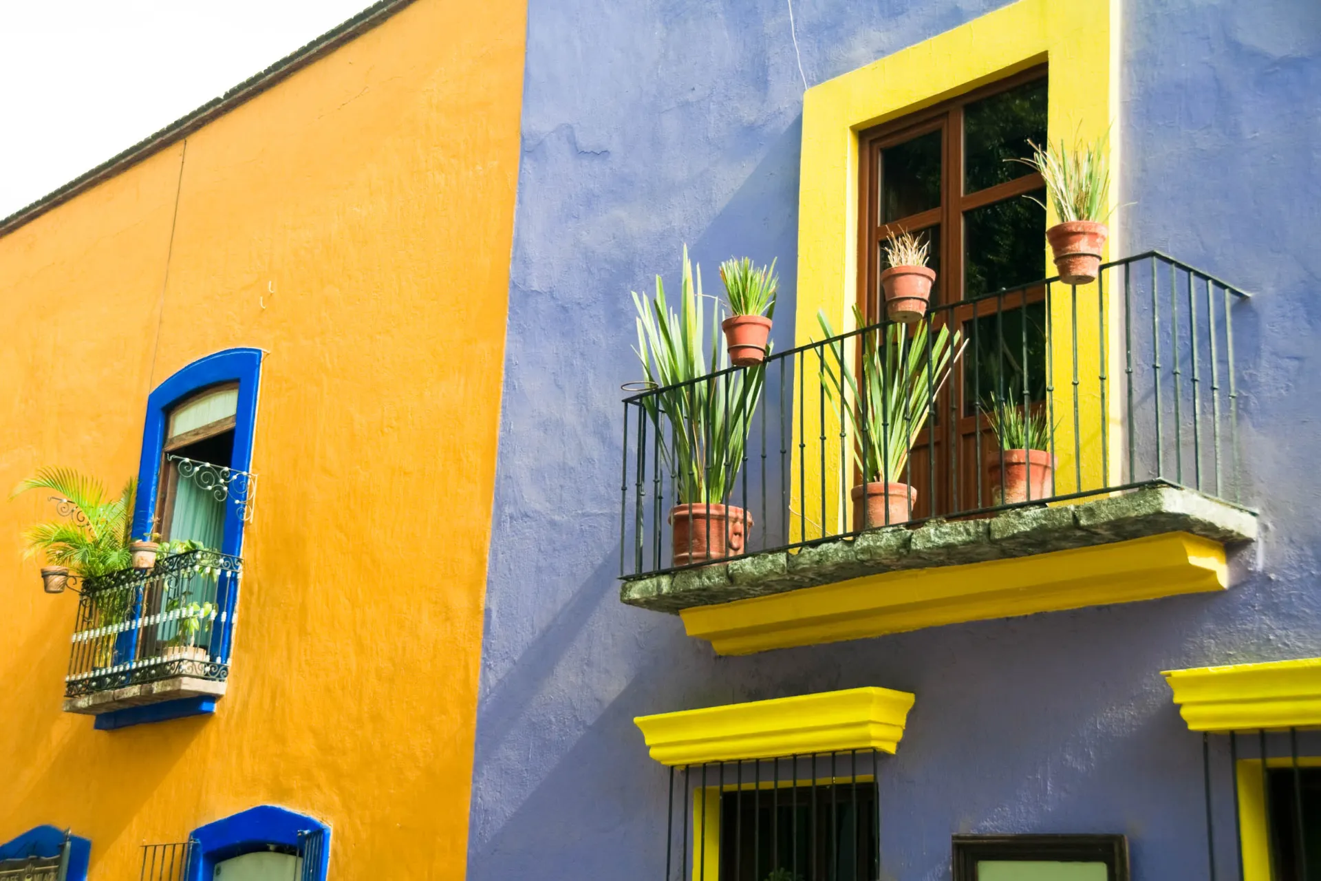 Radosne fasady Radosne fasady