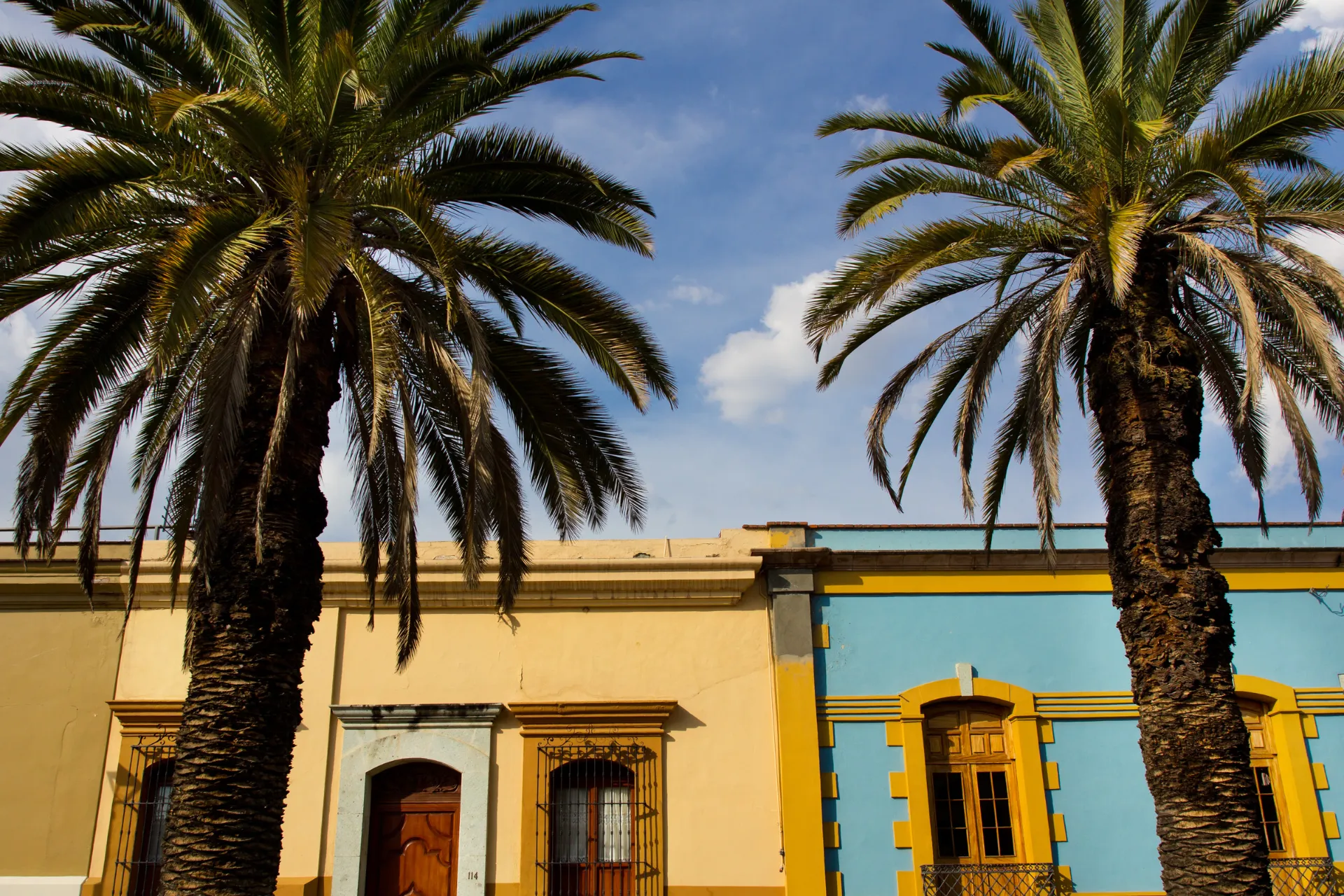 Klasyczna architektura kolonialna z pastelowymi domami, wysokimi palmami i błękitnym niebem Klasyczna architektura kolonialna z pastelowymi domami, wysokimi palmami i błękitnym niebem