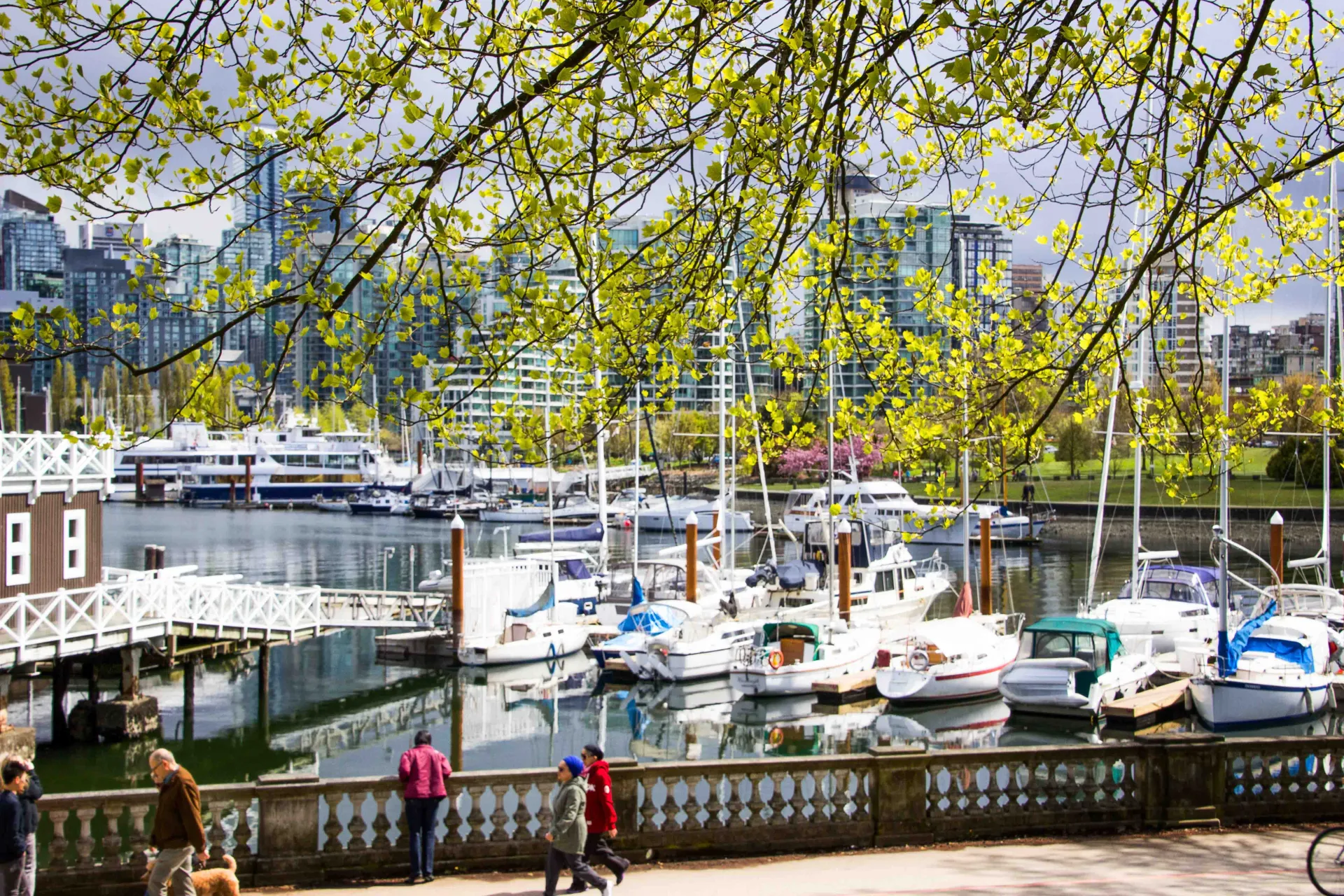 Wiosenny nastrój w Vancouver Harbour z łodziami, promenadą i panoramą miasta w tle