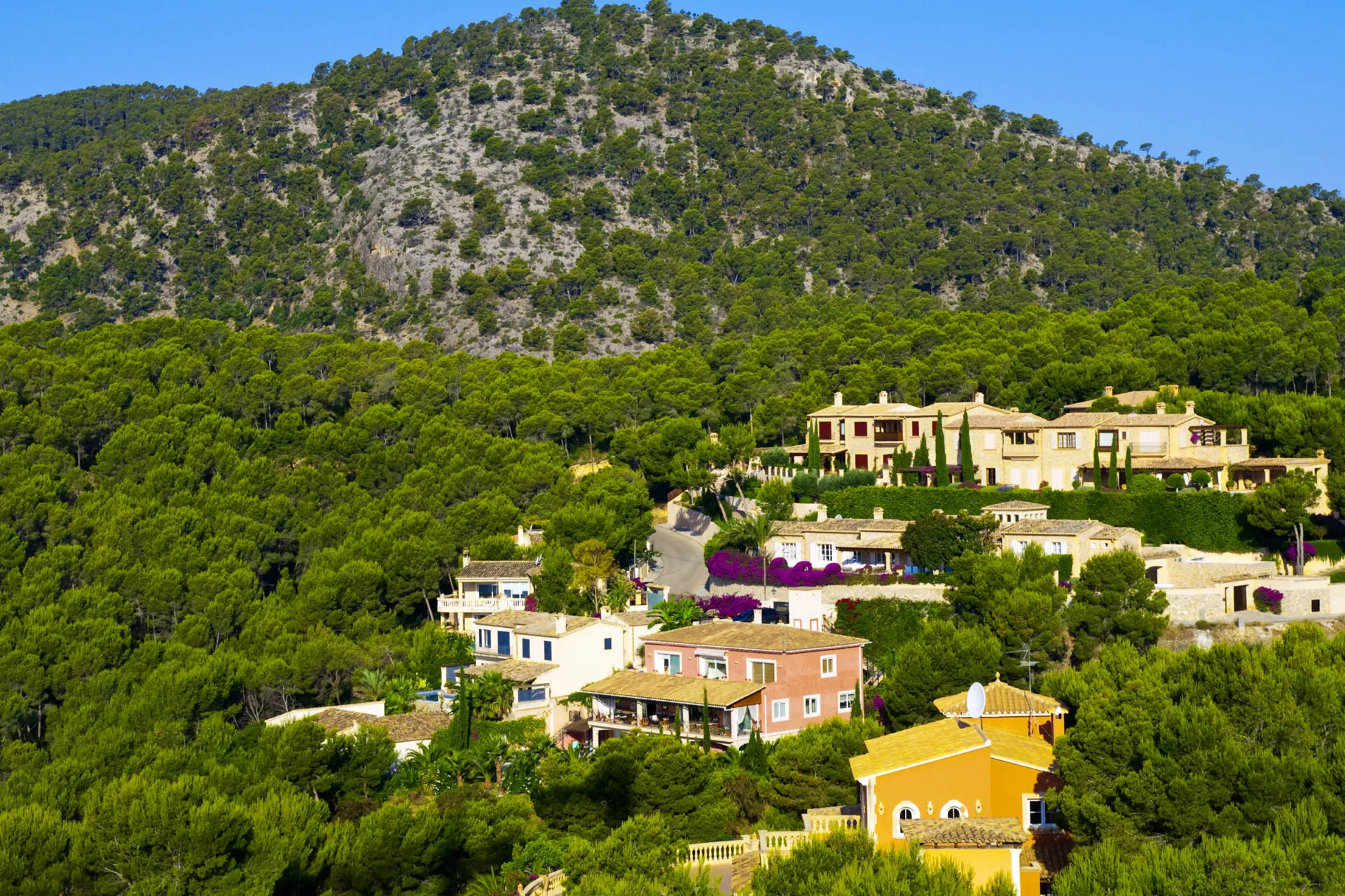 Miasto Paguera jest łatwe do ogarnięcia Miasto Paguera jest łatwe do ogarnięcia