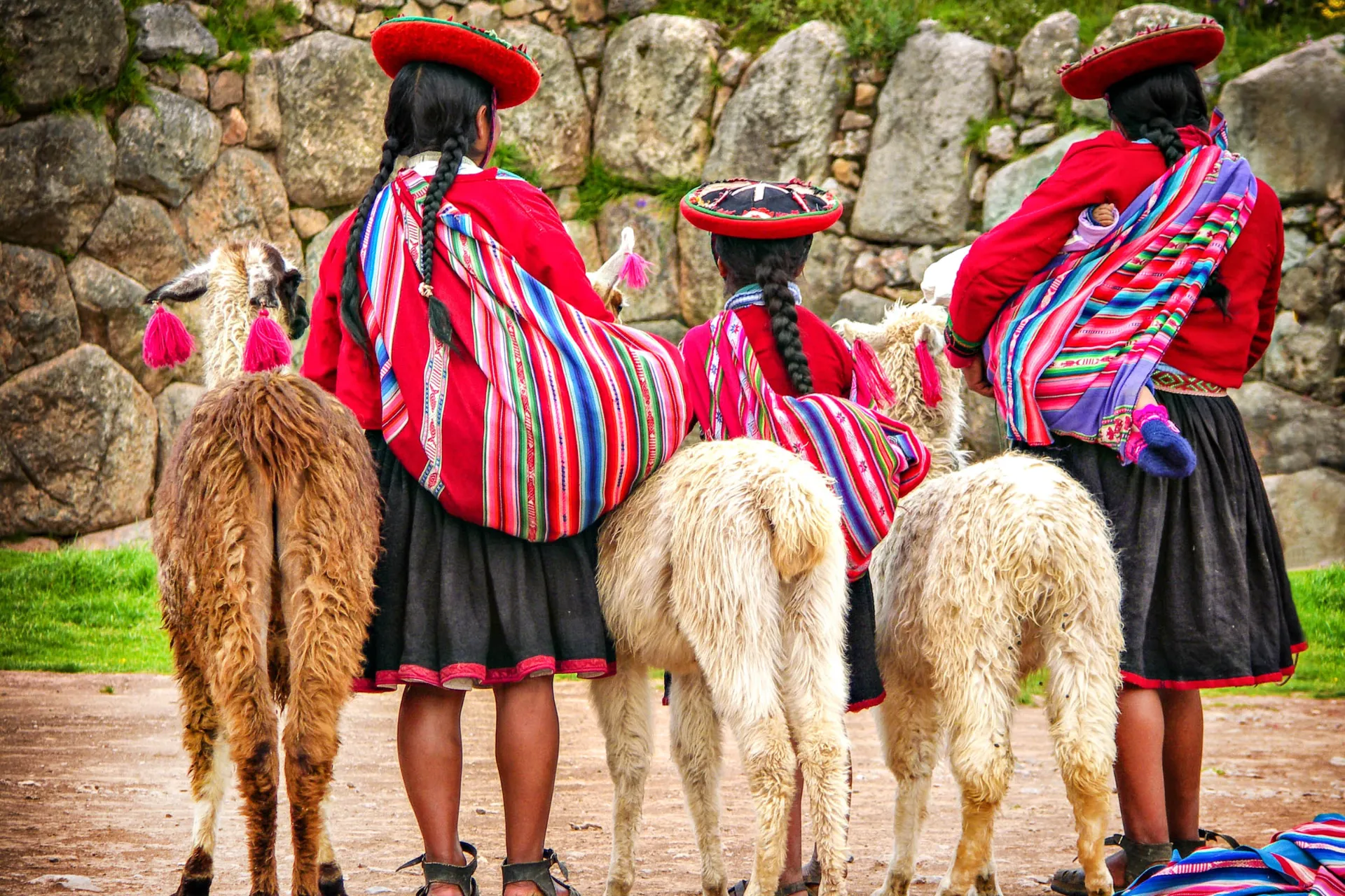 Kobiety w tradycyjnych strojach z lamami w Andach Kobiety w tradycyjnych strojach z lamami w Andach