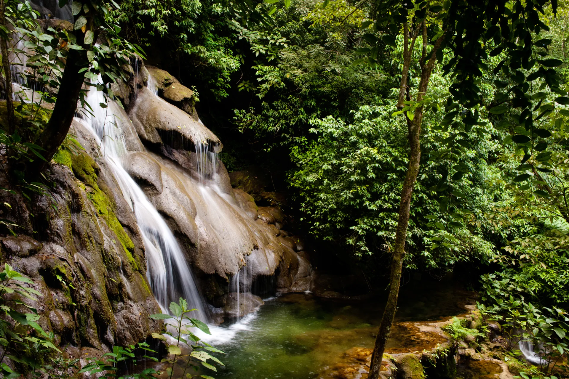 Tropikalny las z oazą wodospadu Tropikalny las z oazą wodospadu