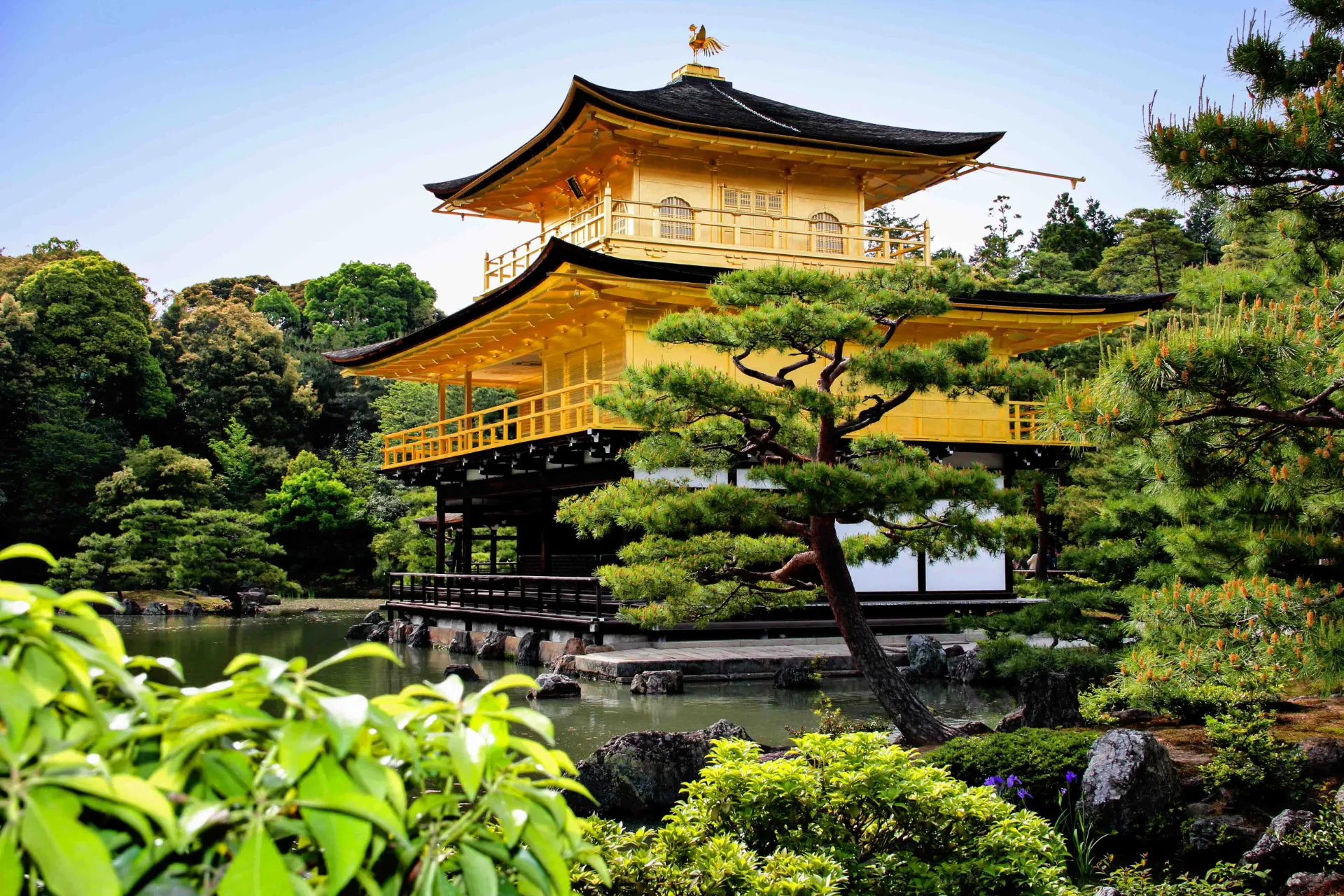Den berömda Gyllene paviljongen i Kyoto