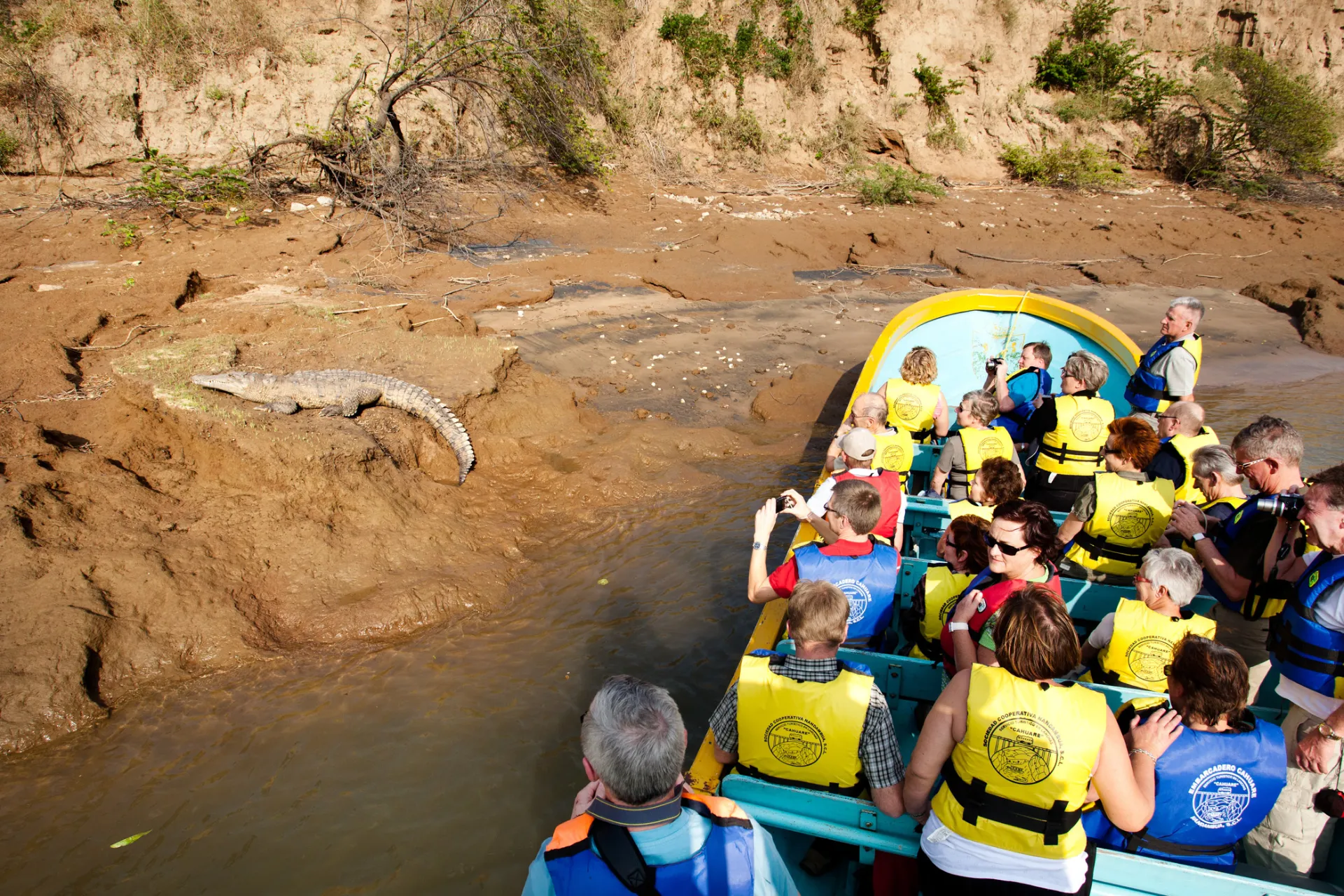 Rejs przez wąwóz Sumidero z krokodylem amerykańskim, który może osiągnąć do 5 m długości Rejs przez wąwóz Sumidero z krokodylem amerykańskim, który może osiągnąć do 5 m długości