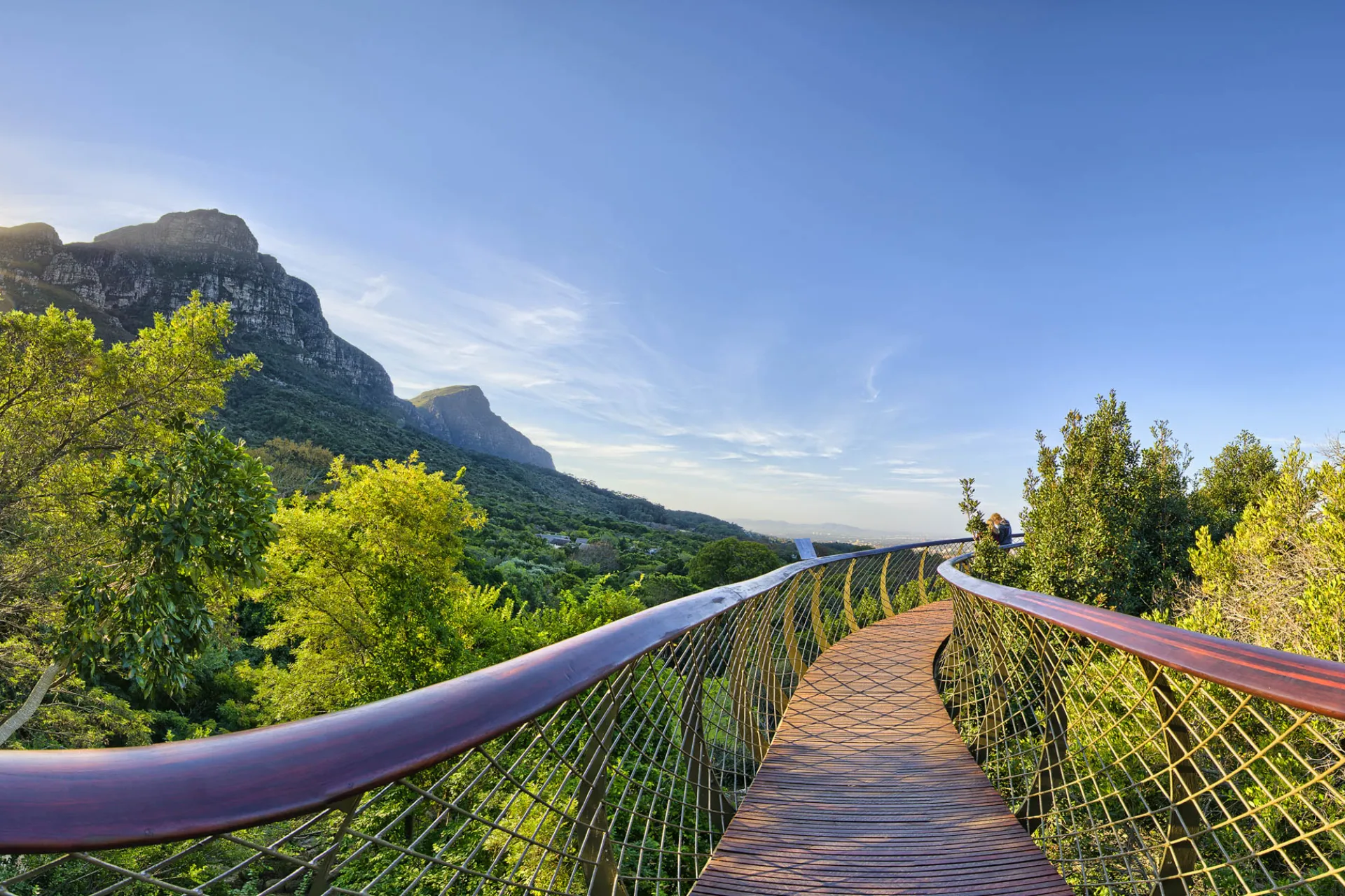 "Boomslang" Canopy Walkway w Kirstenbosch (Kapsztad) znajduje się 12 m nad ziemią i ma 130 m długości "Boomslang" Canopy Walkway w Kirstenbosch (Kapsztad) znajduje się 12 m nad ziemią i ma 130 m długości