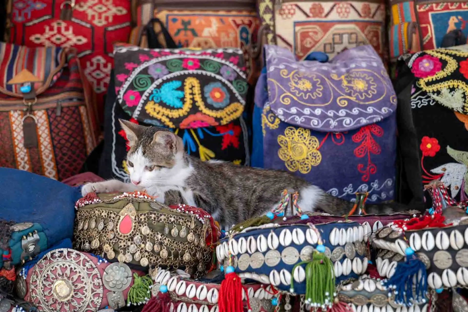 Jeden z wielu ukochanych kotów Stambułu cieszy się spokojem pośród bazaru