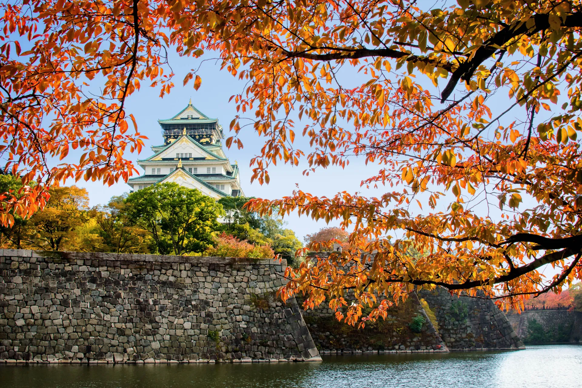 Zamek Osaka otoczony pięknymi jesiennymi kolorami Zamek Osaka otoczony pięknymi jesiennymi kolorami