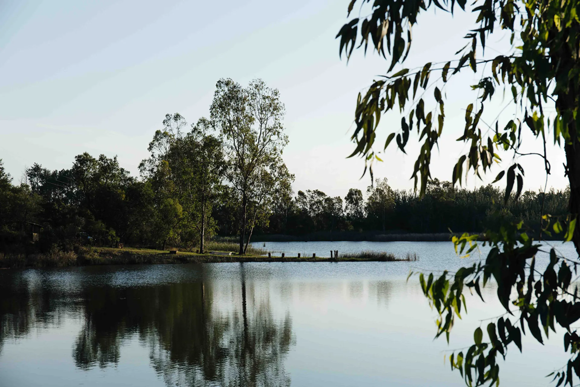 Wieczorny nastrój nad rzeką Wieczorny nastrój nad rzeką