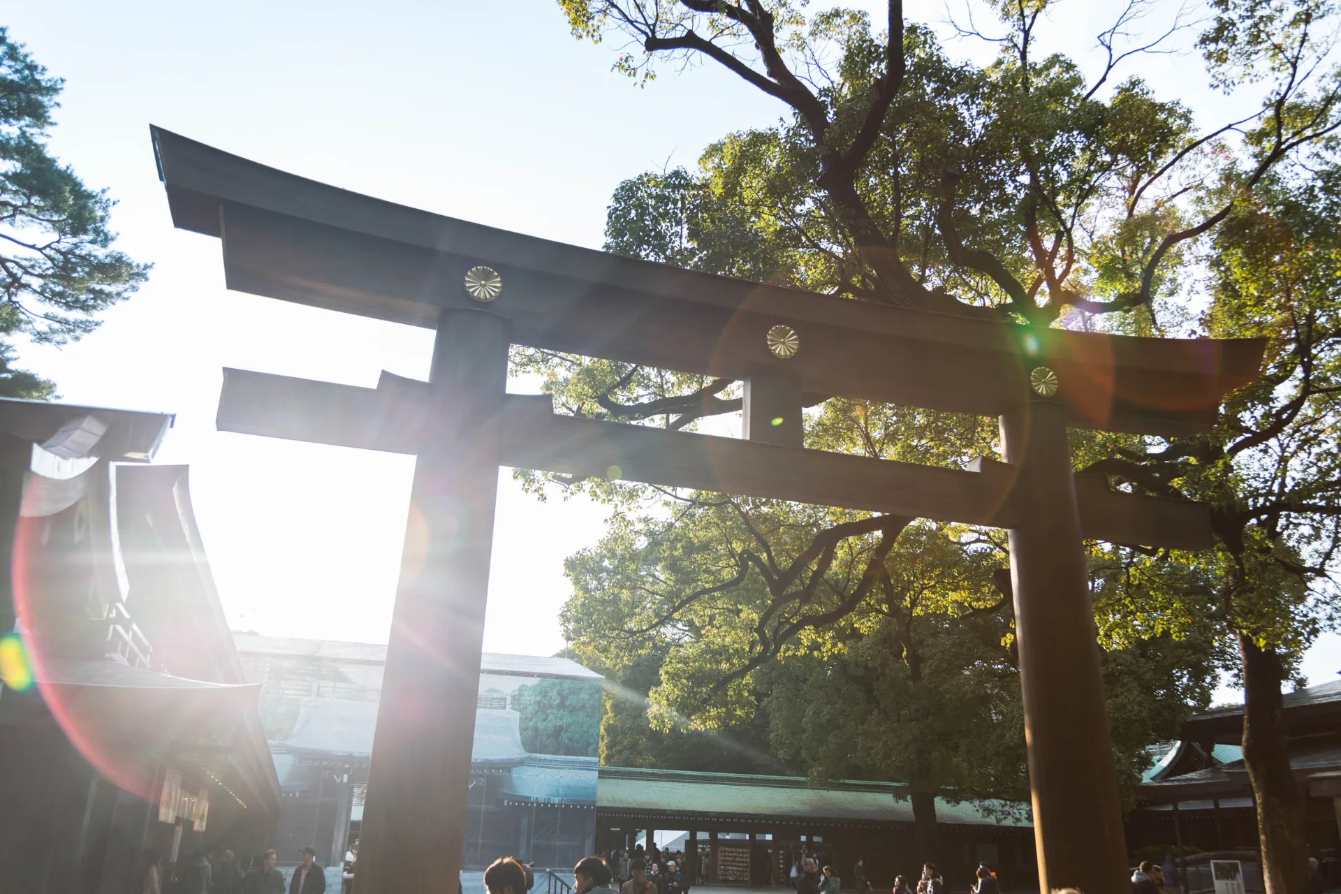 Świątynia shinto Meiji Jingu Świątynia shinto Meiji Jingu