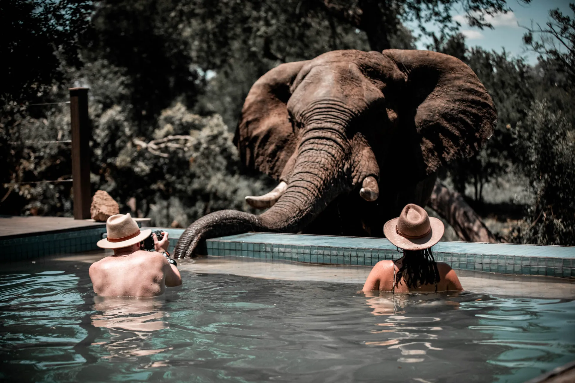 Czy można być bliżej? Czy można być bliżej?