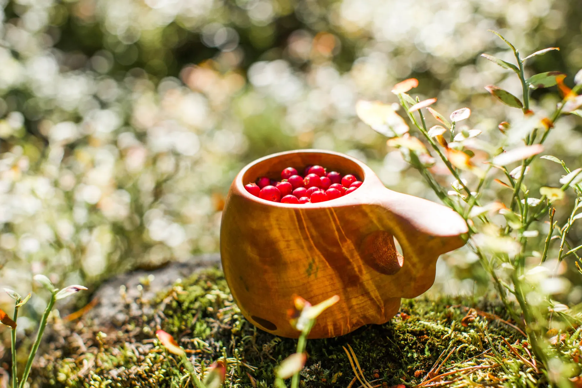„Kuksa” (drewniany kubek) z jagodami leśnymi – fińska natura w najczystszej postaci „Kuksa” (drewniany kubek) z jagodami leśnymi – fińska natura w najczystszej postaci