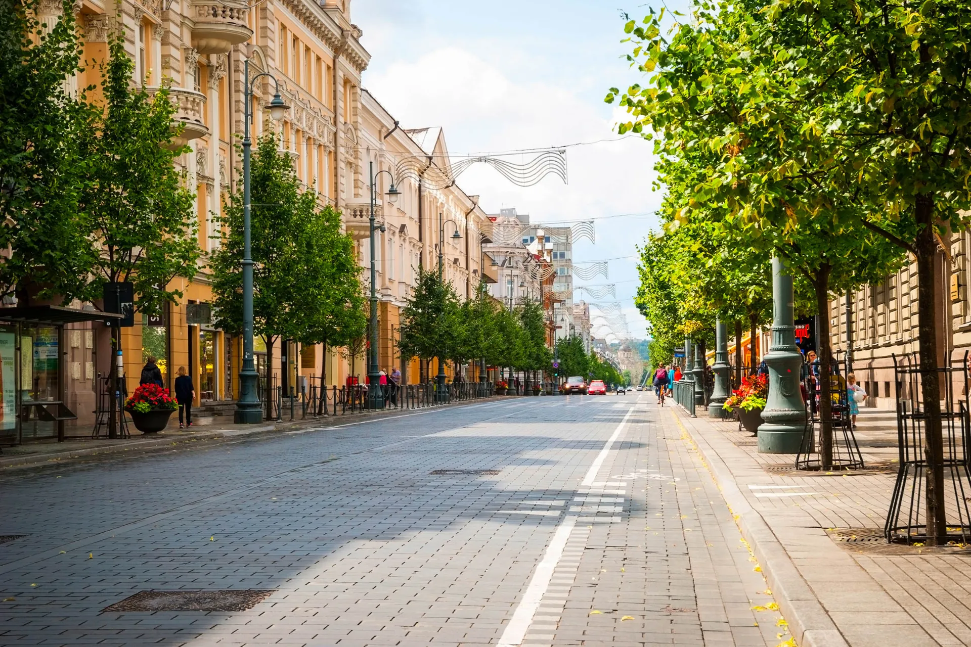 Ulica Gedimino w Wilnie – elegancki bulwar z zabytkowymi budynkami, sklepami i zielonymi alejami Ulica Gedimino w Wilnie – elegancki bulwar z zabytkowymi budynkami, sklepami i zielonymi alejami