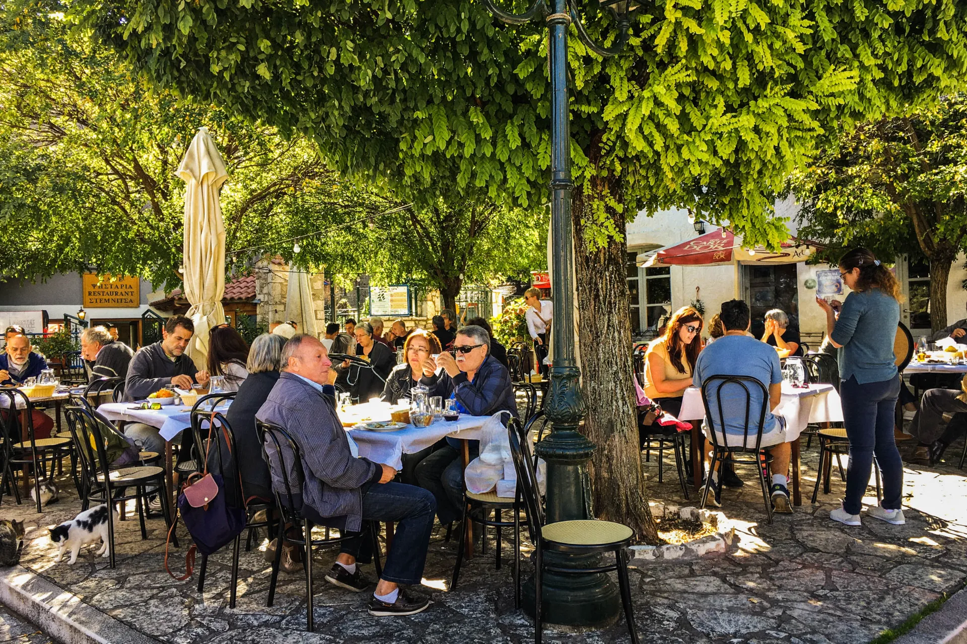 Czas na lunch w górach Arkadii Czas na lunch w górach Arkadii