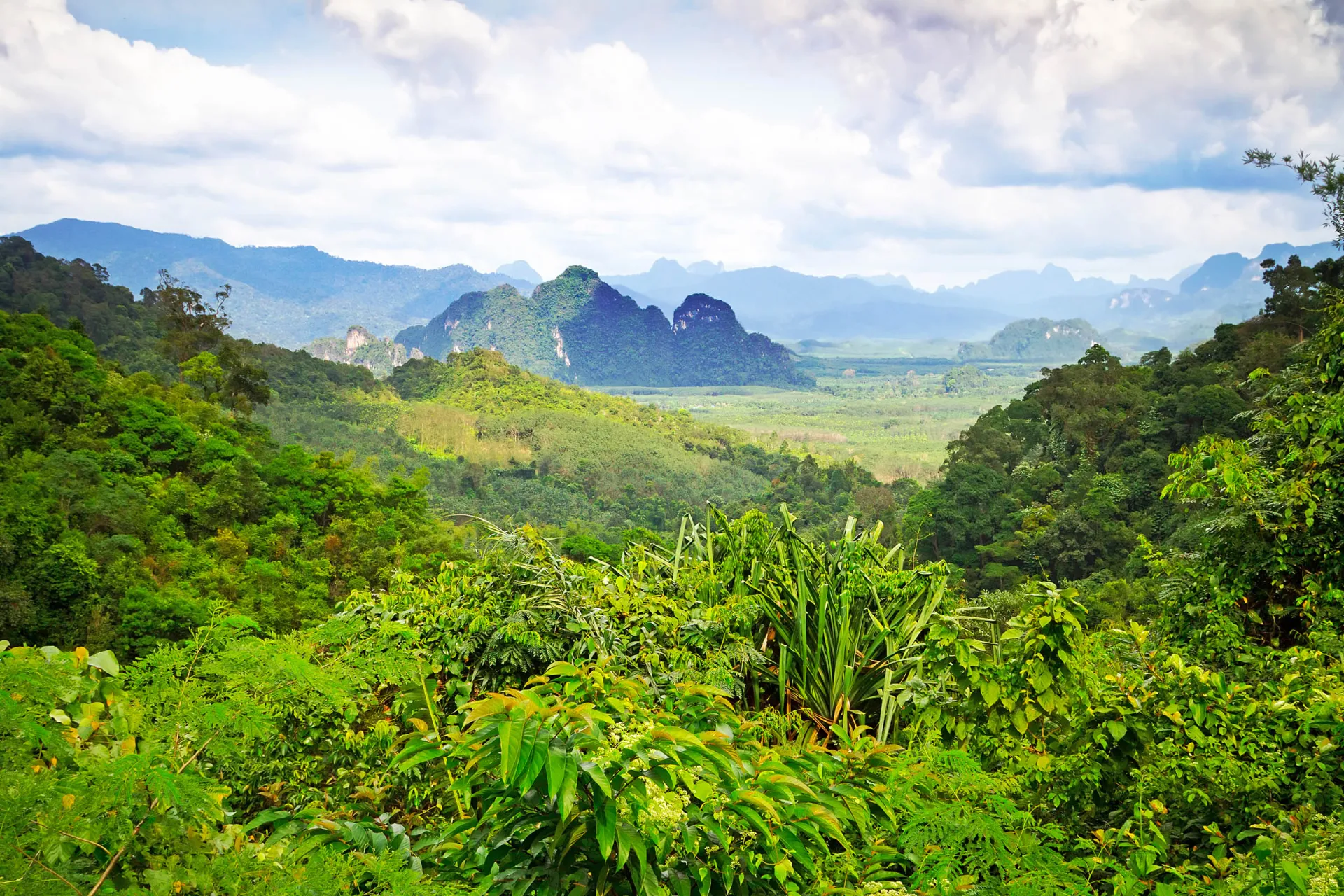 Park Narodowy Khao Sok w prowincji Surat Thani Park Narodowy Khao Sok w prowincji Surat Thani