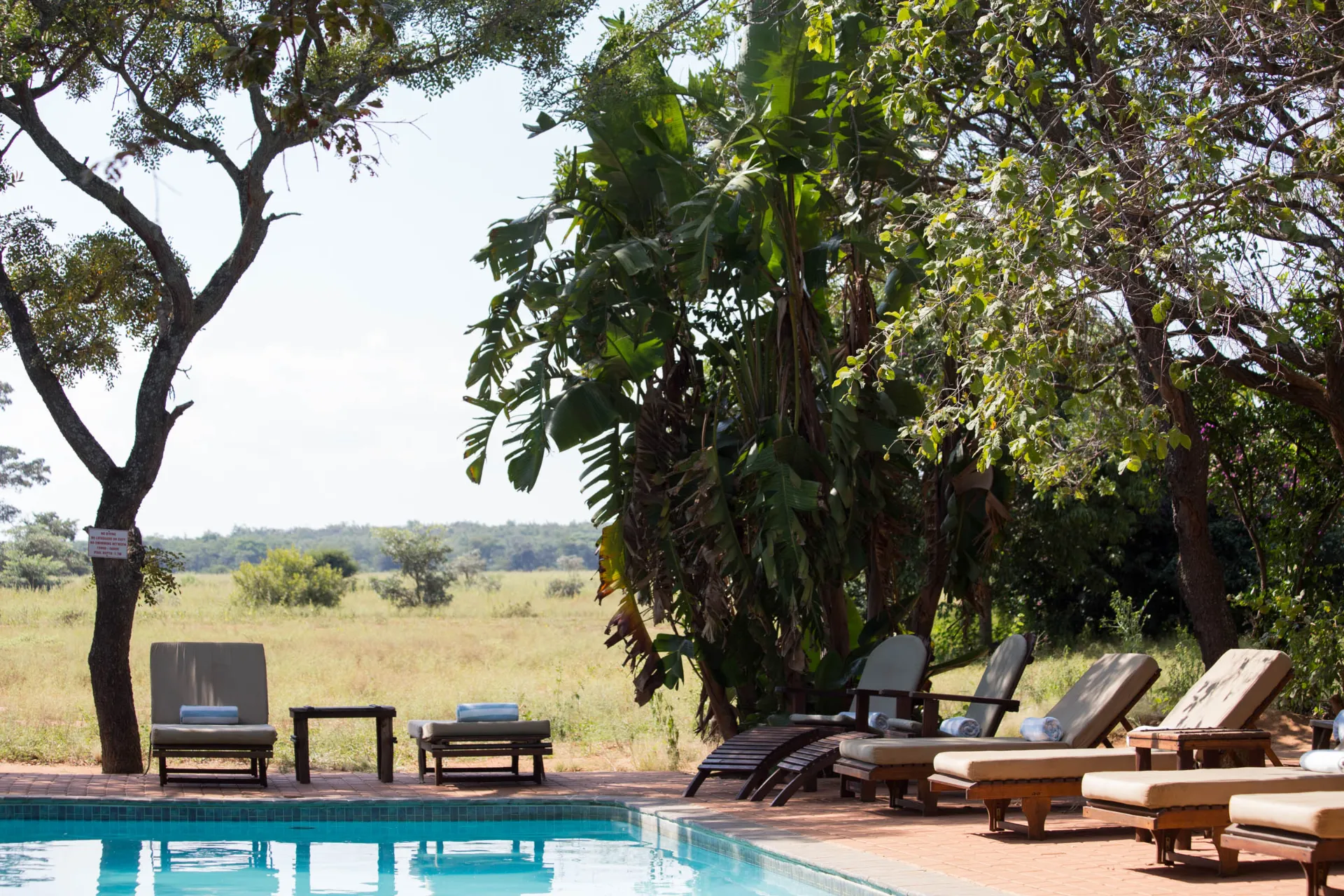 Basen z widokiem na sawannę