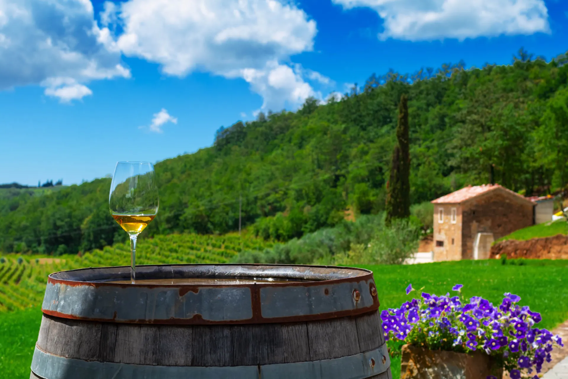 Dalmacja – winnice, słońce i tradycja