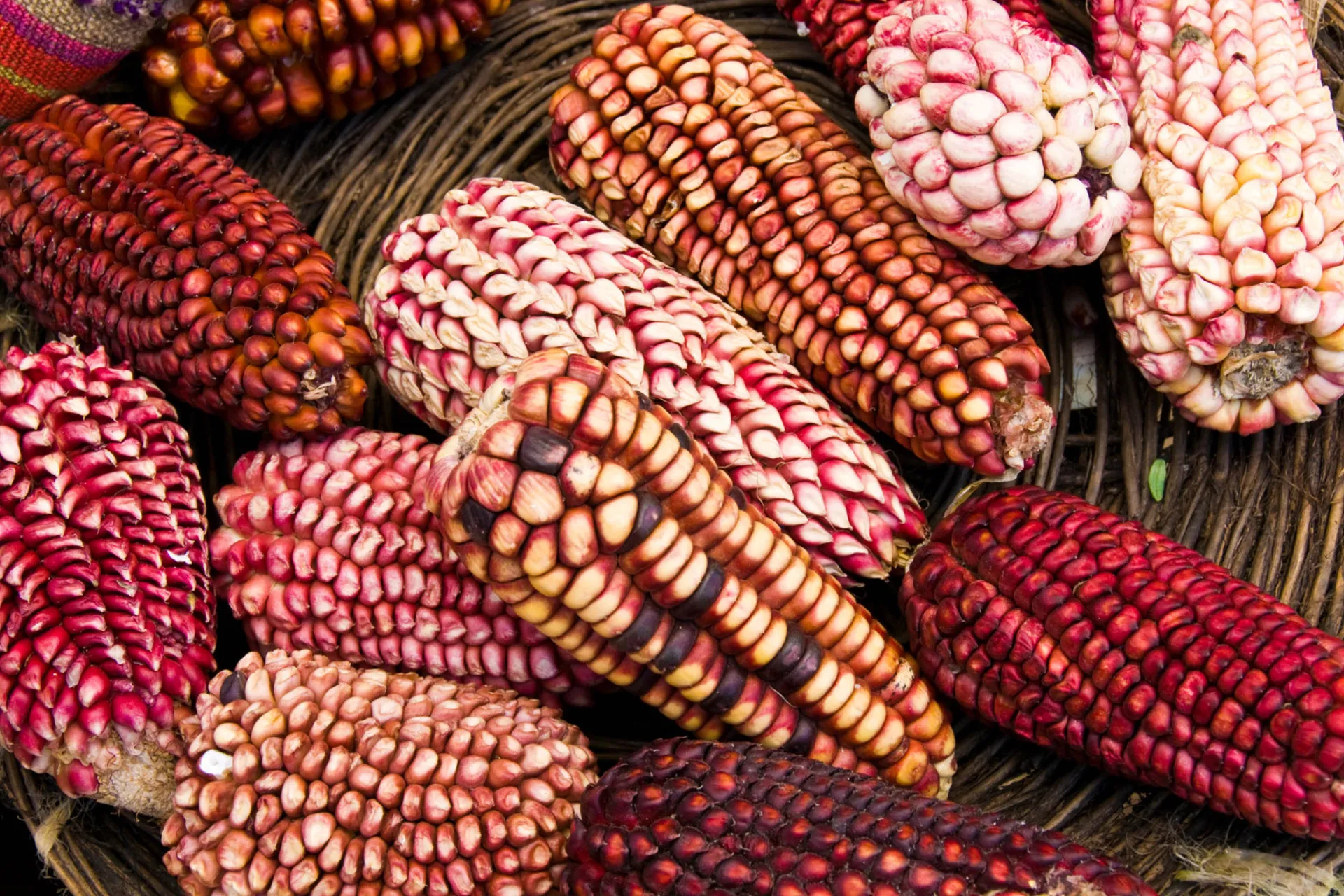 Peruwiańska specjalność Peruwiańska specjalność