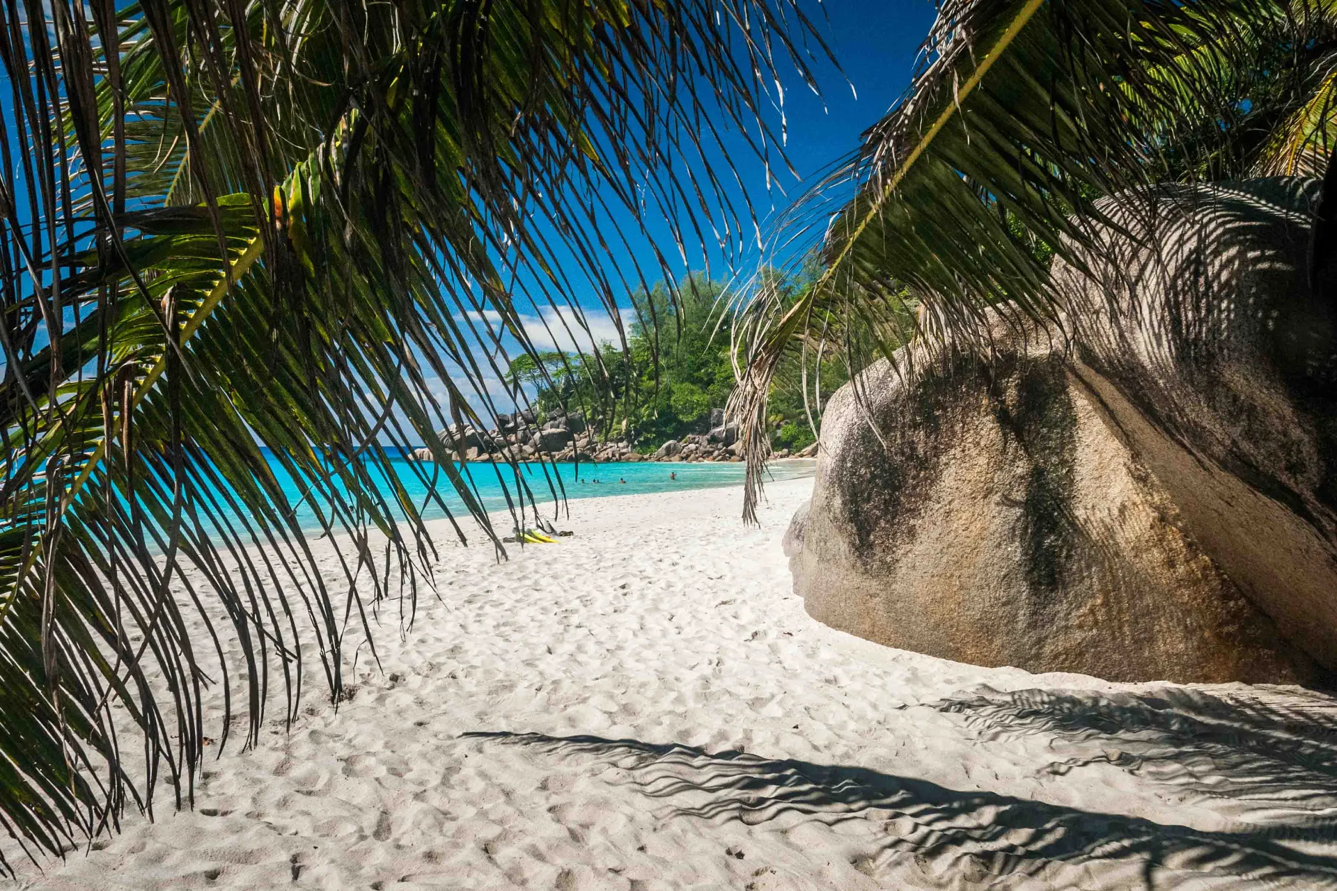 Palmy, klify, piasek i woda