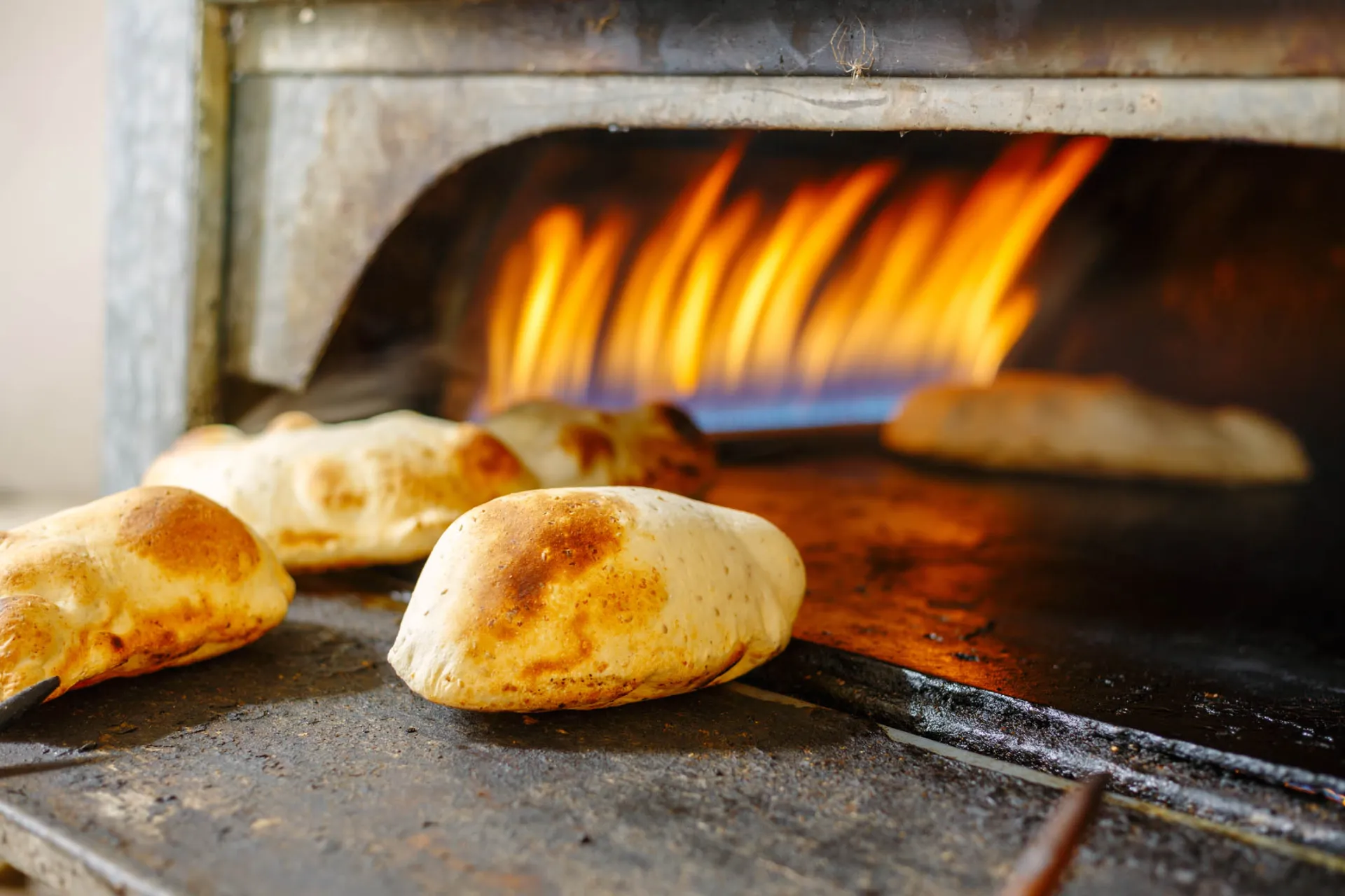 Egipski chleb – znany jako „Aish Baladi” Egipski chleb – znany jako „Aish Baladi”