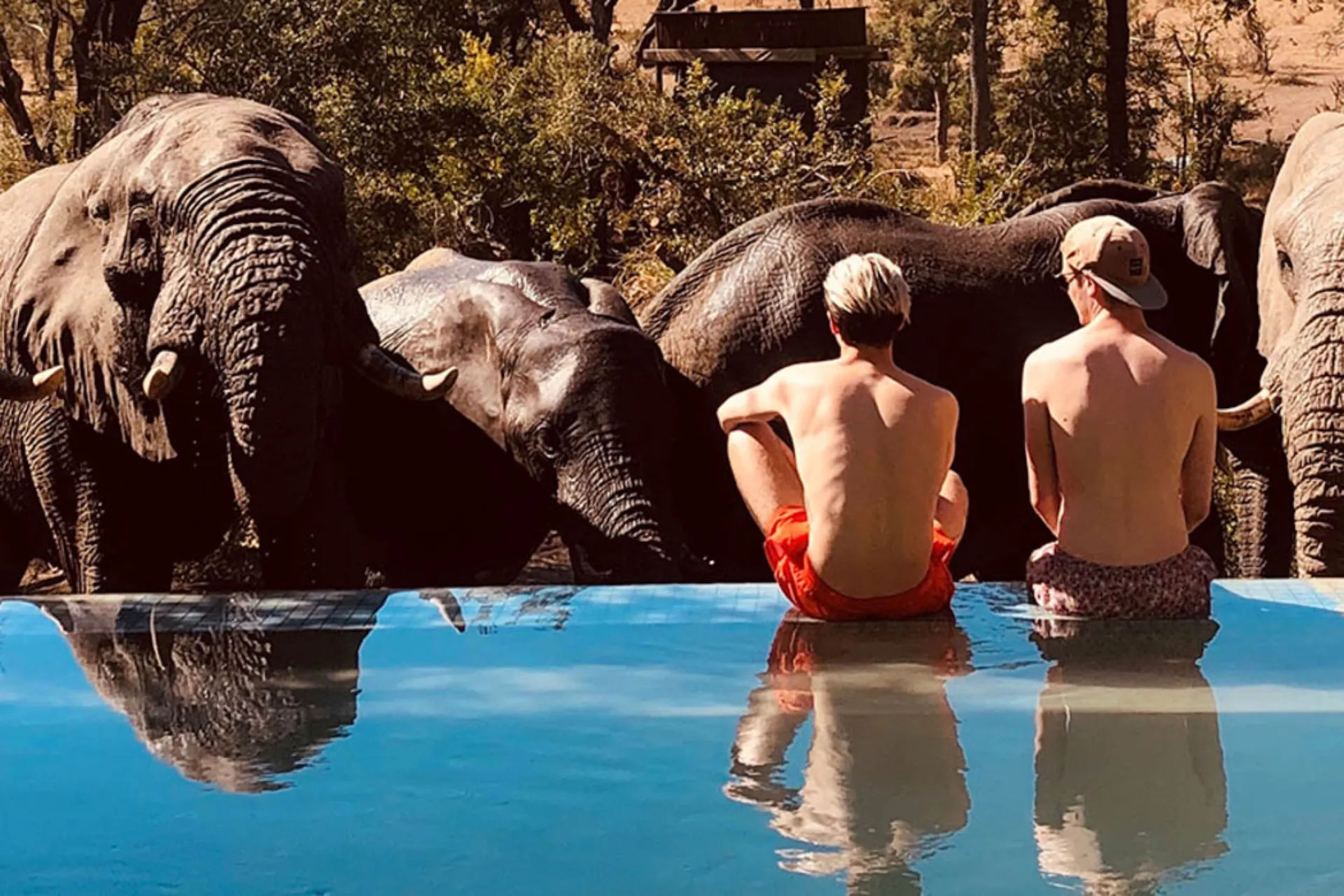 Swobodne obserwowanie