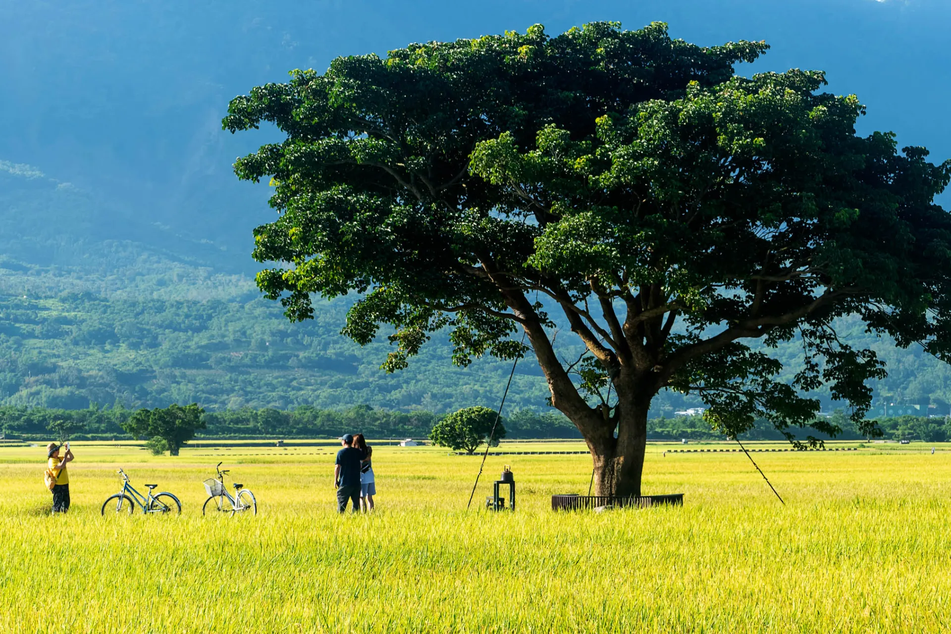 Przejażdżka rowerowa w Chishang w prowincji Taitung Przejażdżka rowerowa w Chishang w prowincji Taitung