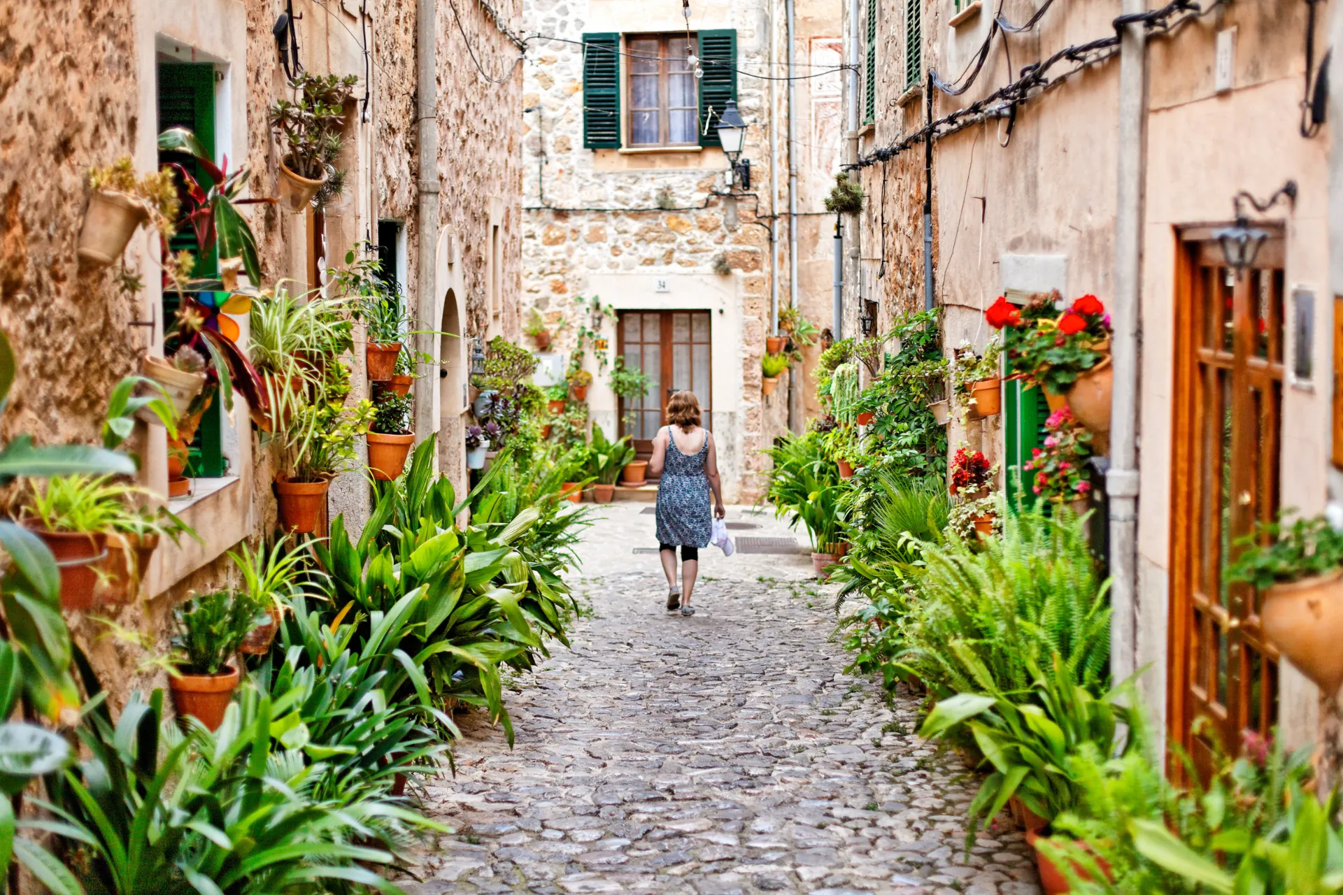 Klimatyczne zdjęcie z Palmy Klimatyczne zdjęcie z Palmy