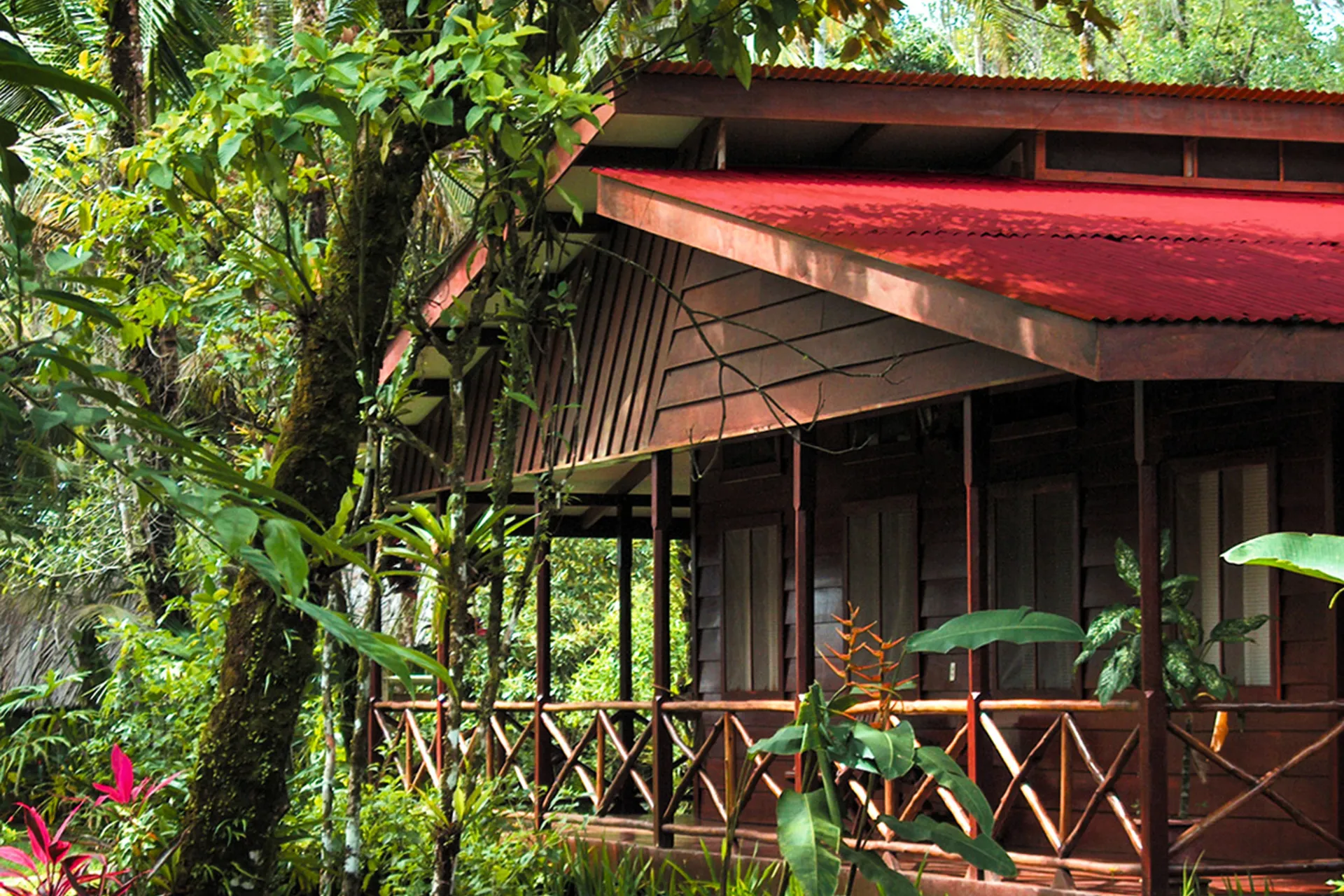 Domek przy Pachira Lodge z naturą tuż za progiem Domek przy Pachira Lodge z naturą tuż za progiem