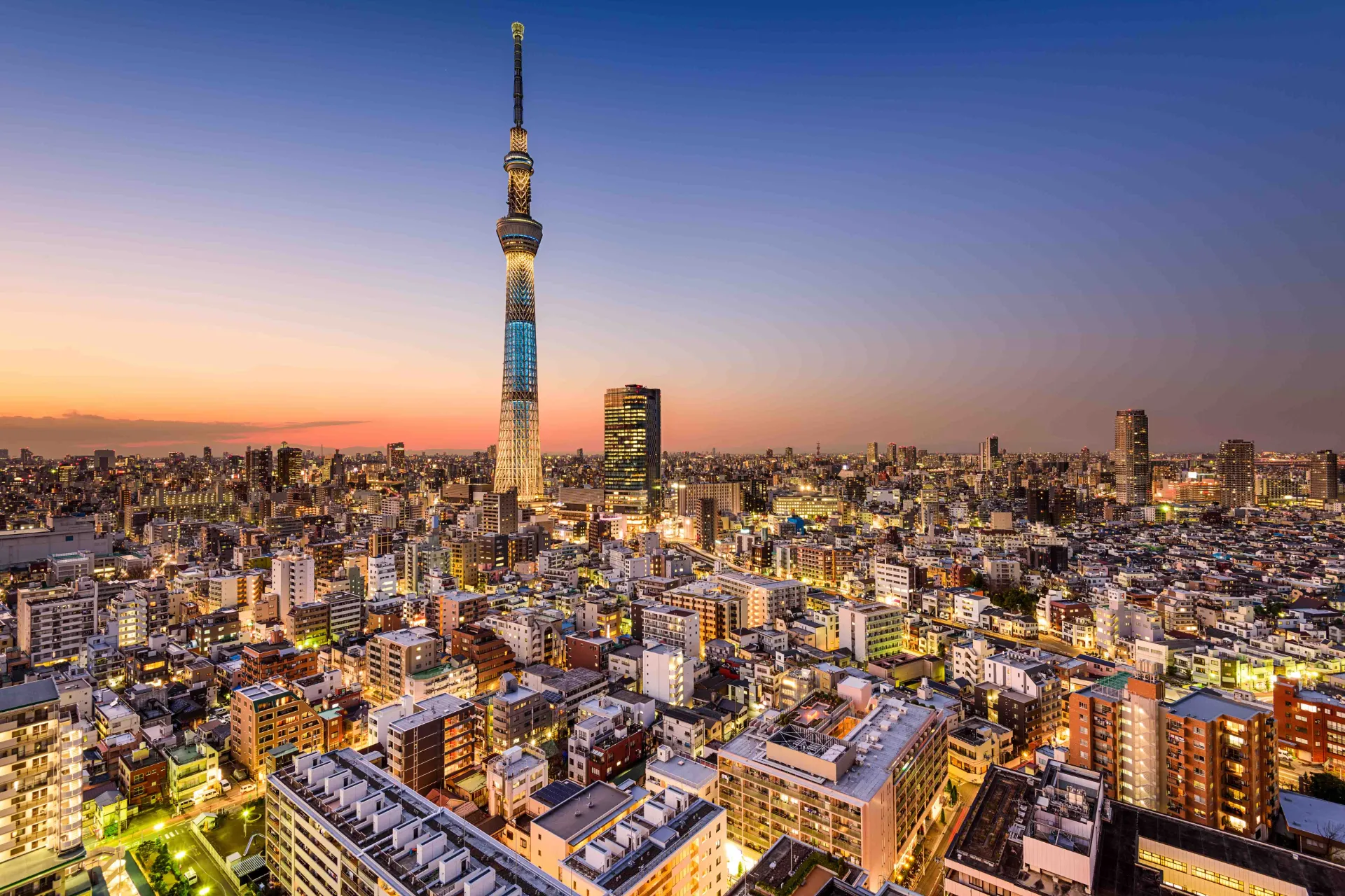 Panoramiczny widok na Tokio z ikoniczną wieżą Tokyo Skytree w centrum Panoramiczny widok na Tokio z ikoniczną wieżą Tokyo Skytree w centrum