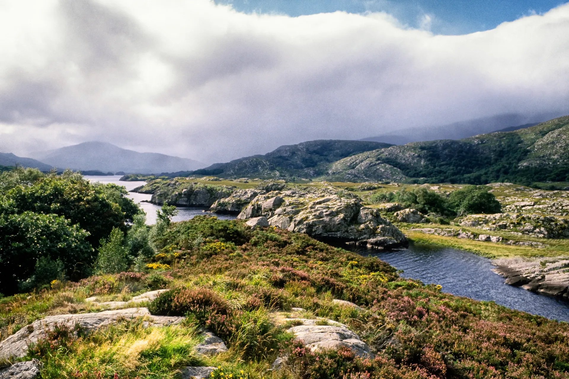 Piękna przyroda wzdłuż malowniczej trasy Ring of Kerry Piękna przyroda wzdłuż malowniczej trasy Ring of Kerry