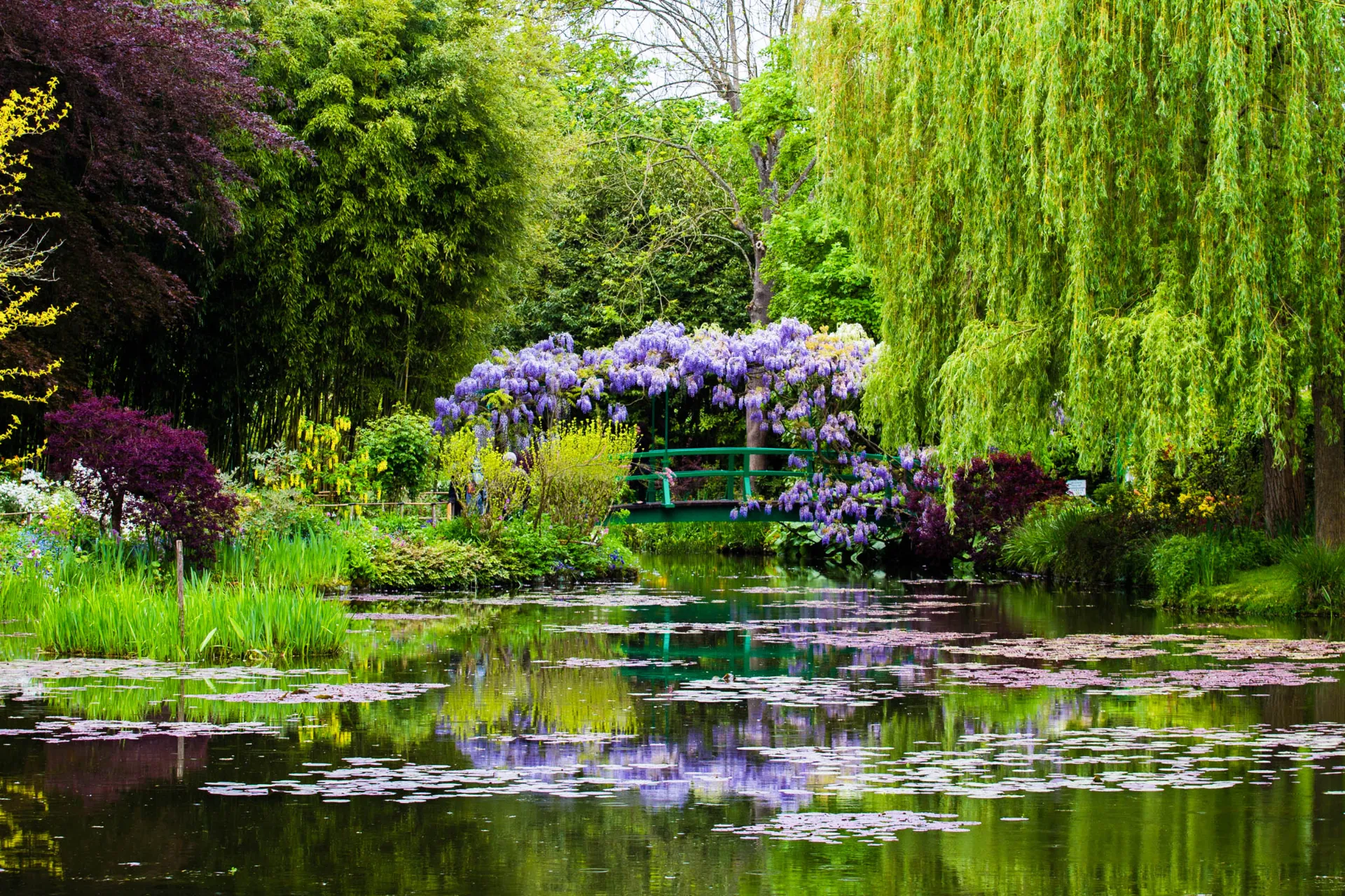 Claude Monet (znany z obrazów z liliami wodnymi) inspirował się swoimi pięknymi ogrodami Claude Monet (znany z obrazów z liliami wodnymi) inspirował się swoimi pięknymi ogrodami