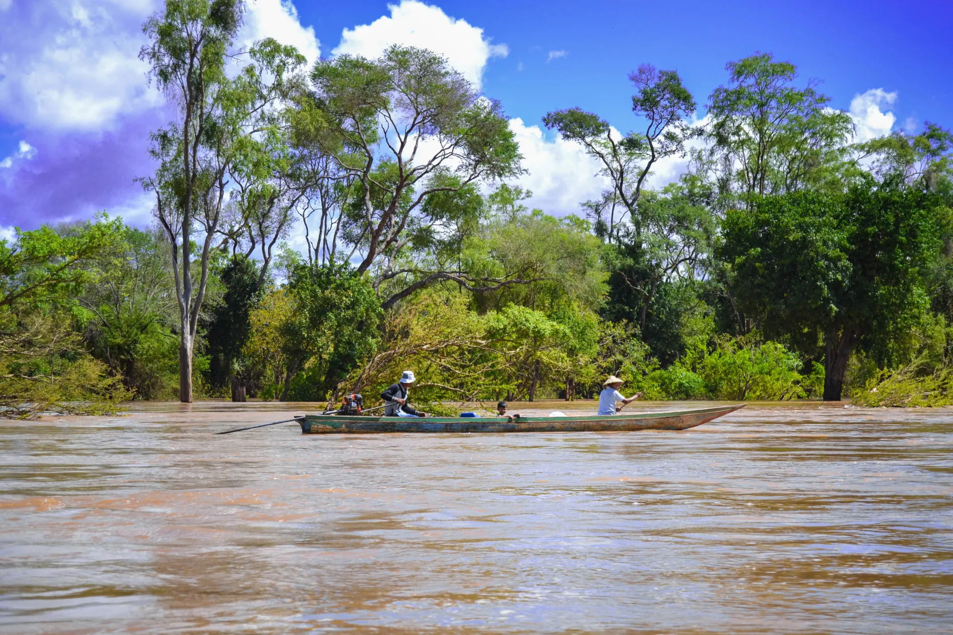 Miejscowi w łodzi płynący przez zalany las nad Mekongiem. Miejscowi w łodzi płynący przez zalany las nad Mekongiem.