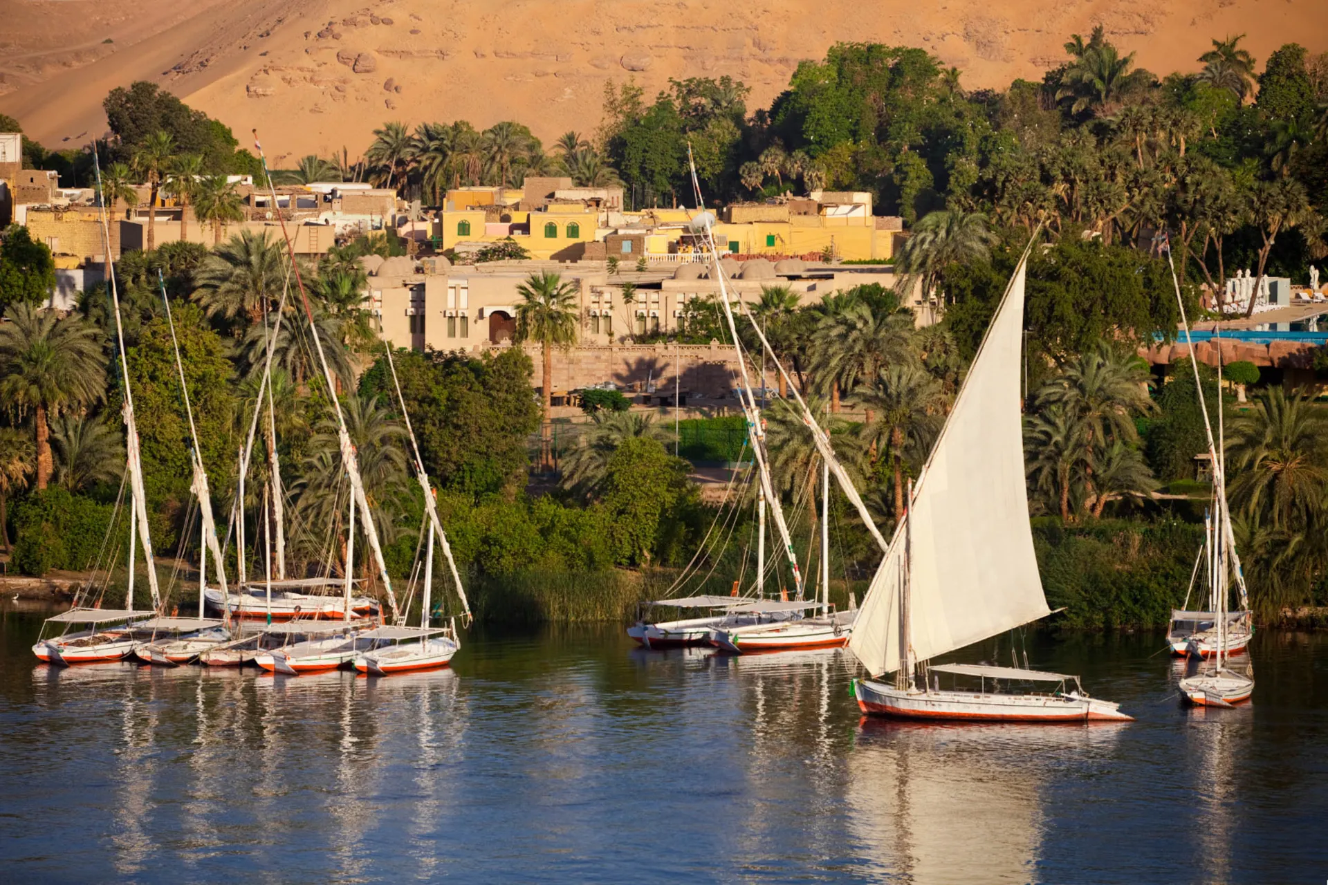 Feluki w Asuanie Feluki w Asuanie