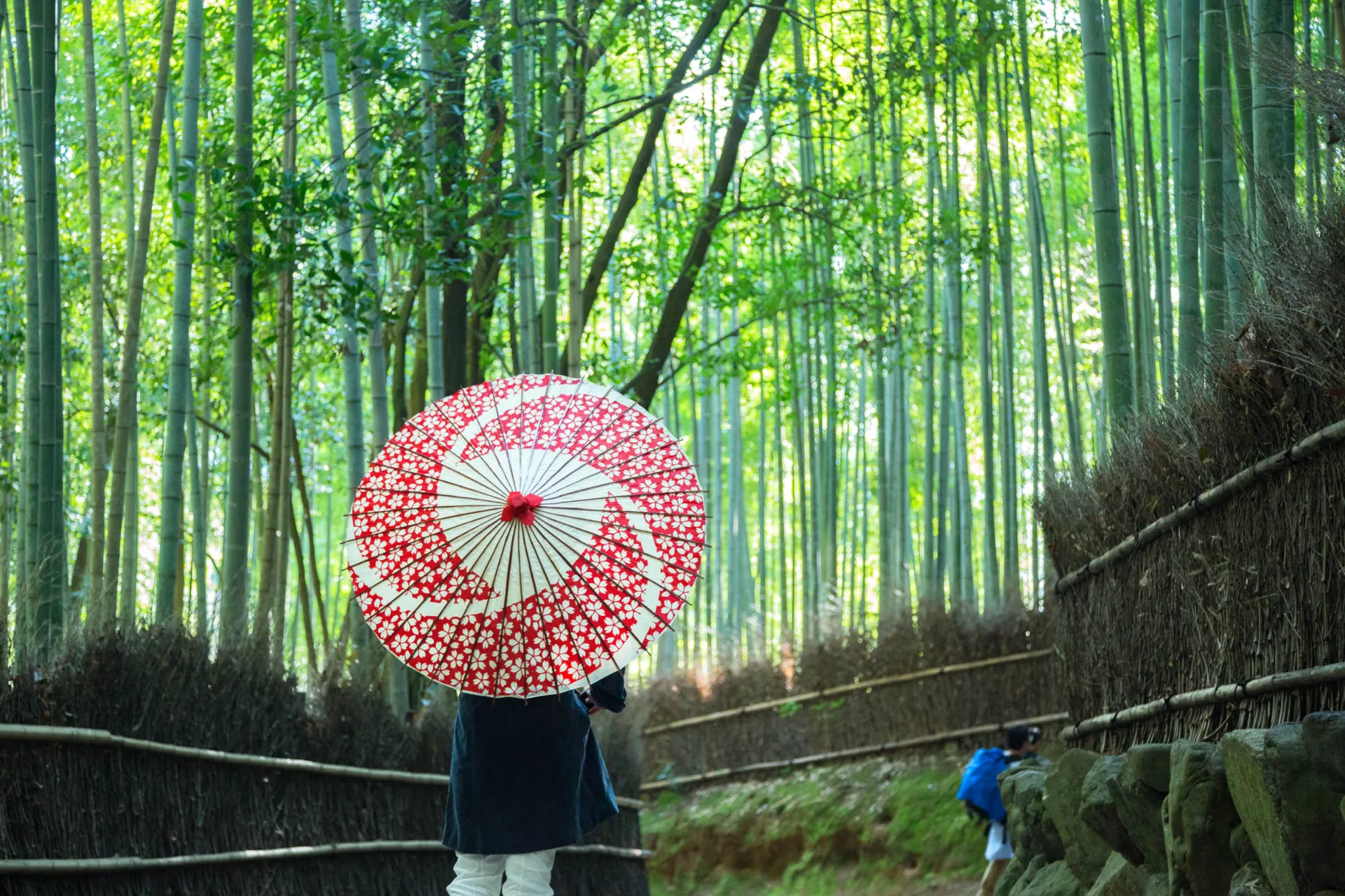 Bambusowy las w Arashiyamie, Kioto