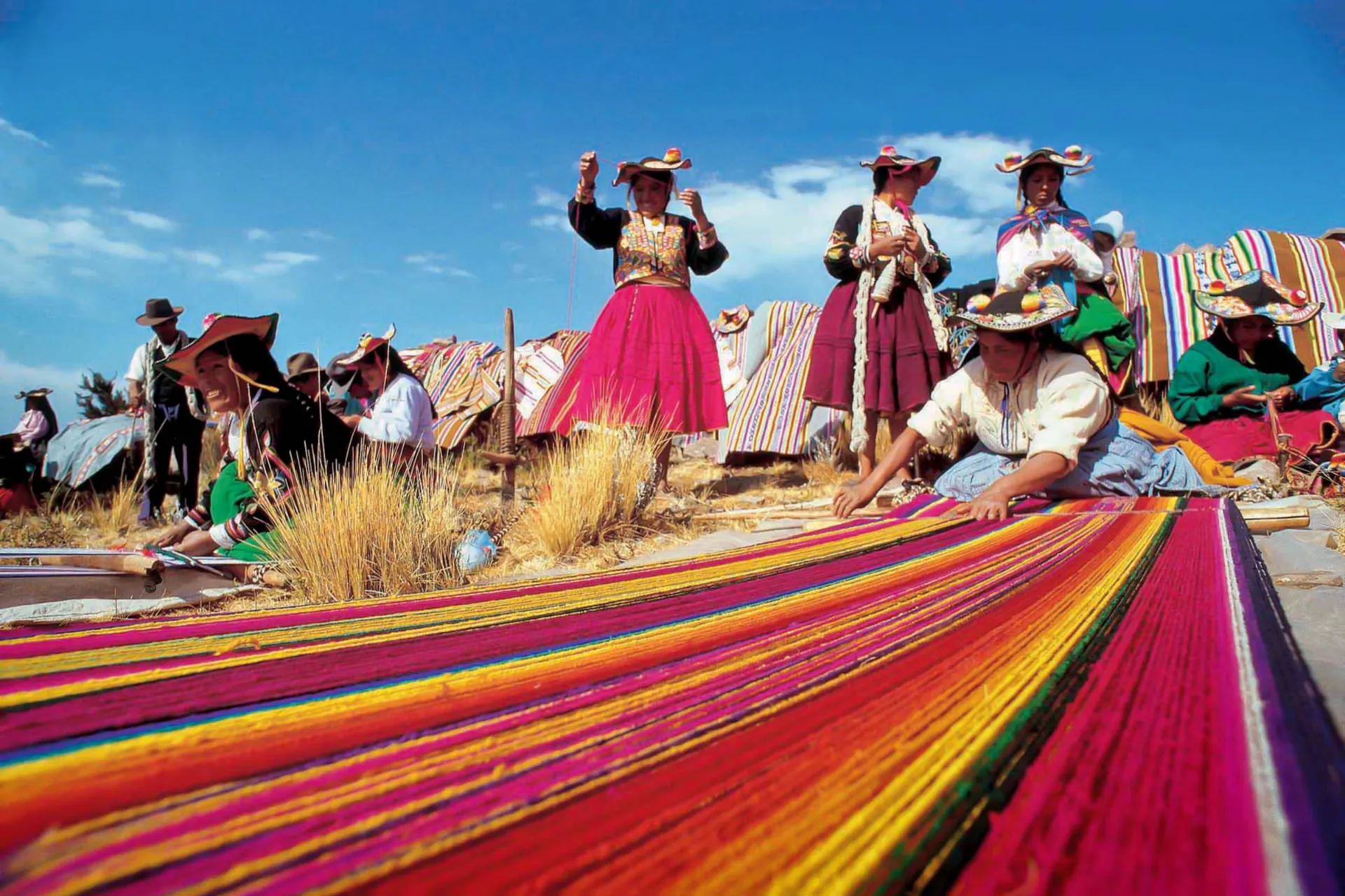 Kolorowe tkaczki przy pracy Kolorowe tkaczki przy pracy