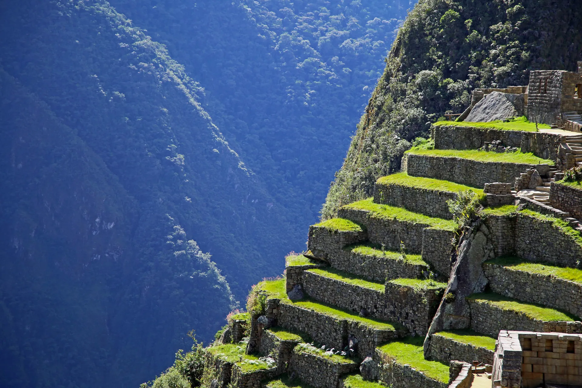 Imponujące tarasy Inków przy Machu Picchu Imponujące tarasy Inków przy Machu Picchu